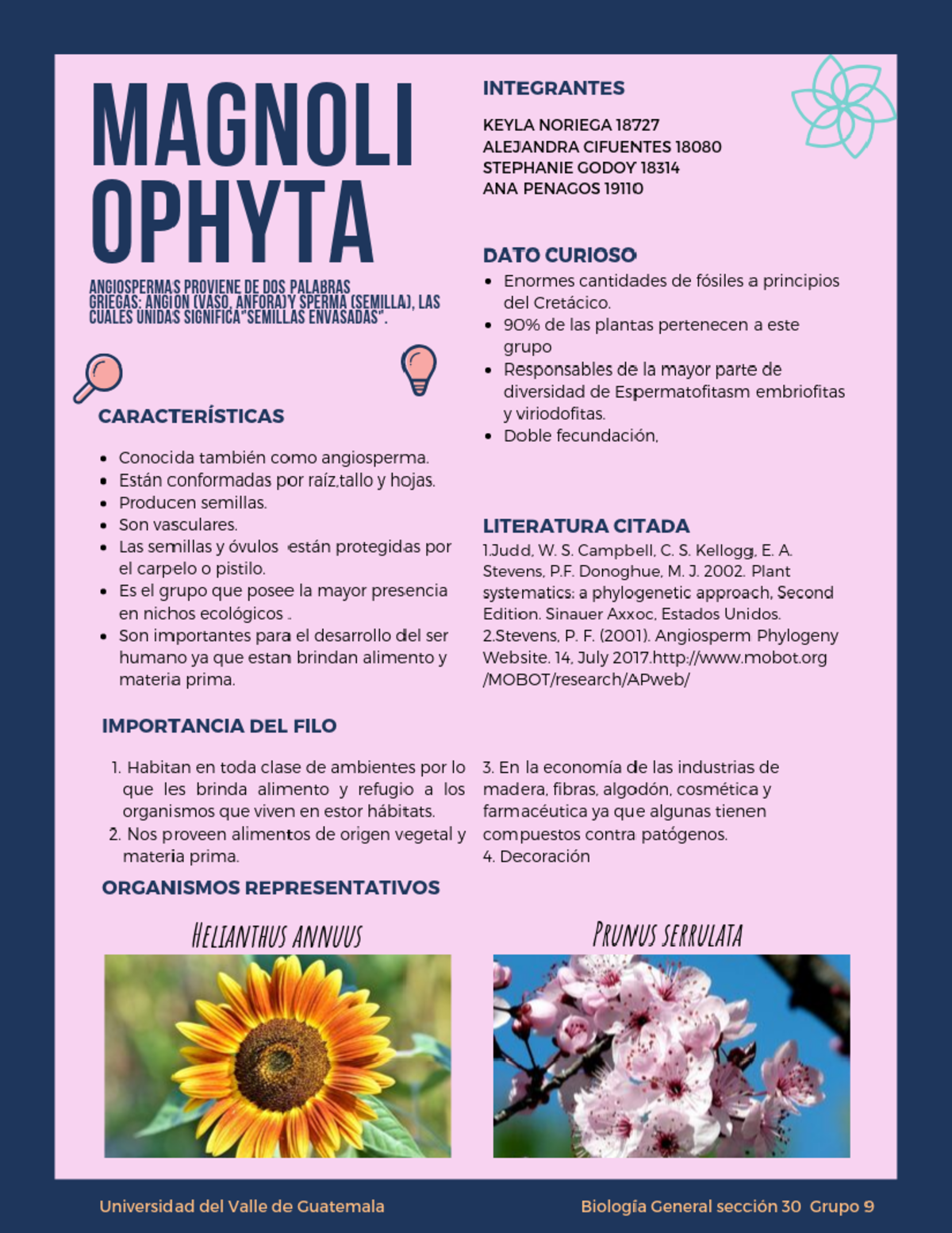 Infografía Botánica G9: Taxonomía y Características de Magnoliophyta ...