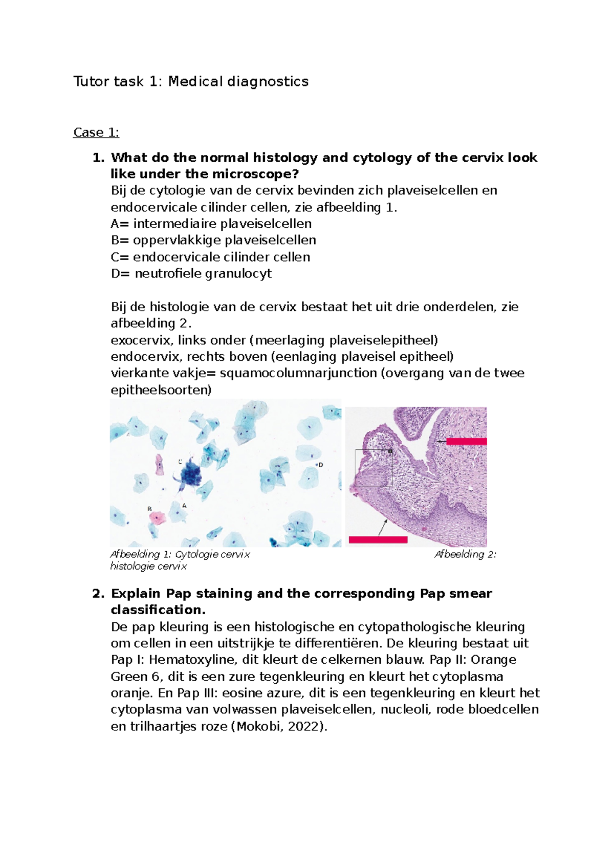 Medical Diagnostics Case Studies: Tutor Task 1 - Studeersnel