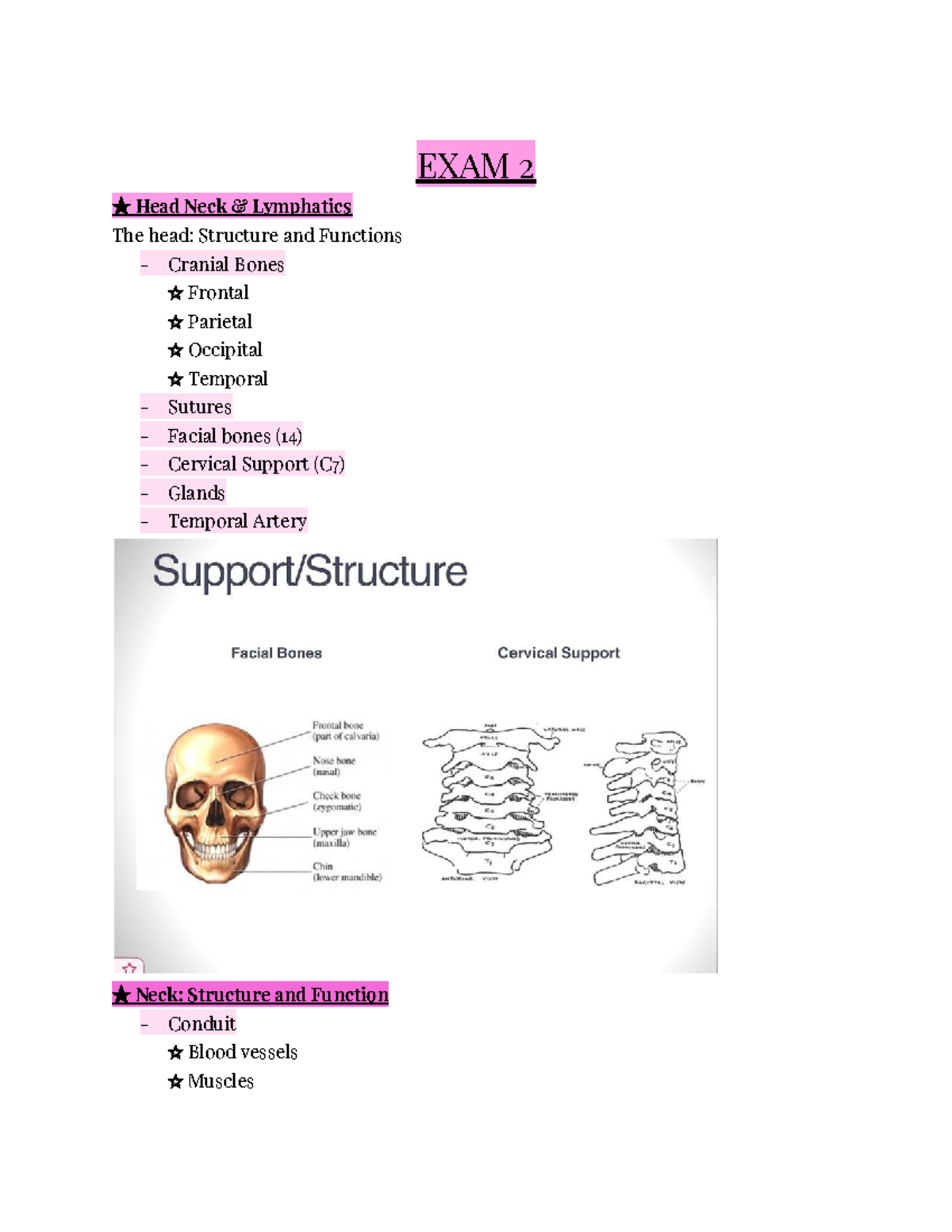 Foundations of Health Assessment Study Guide: Head & Neck Focus - Studocu