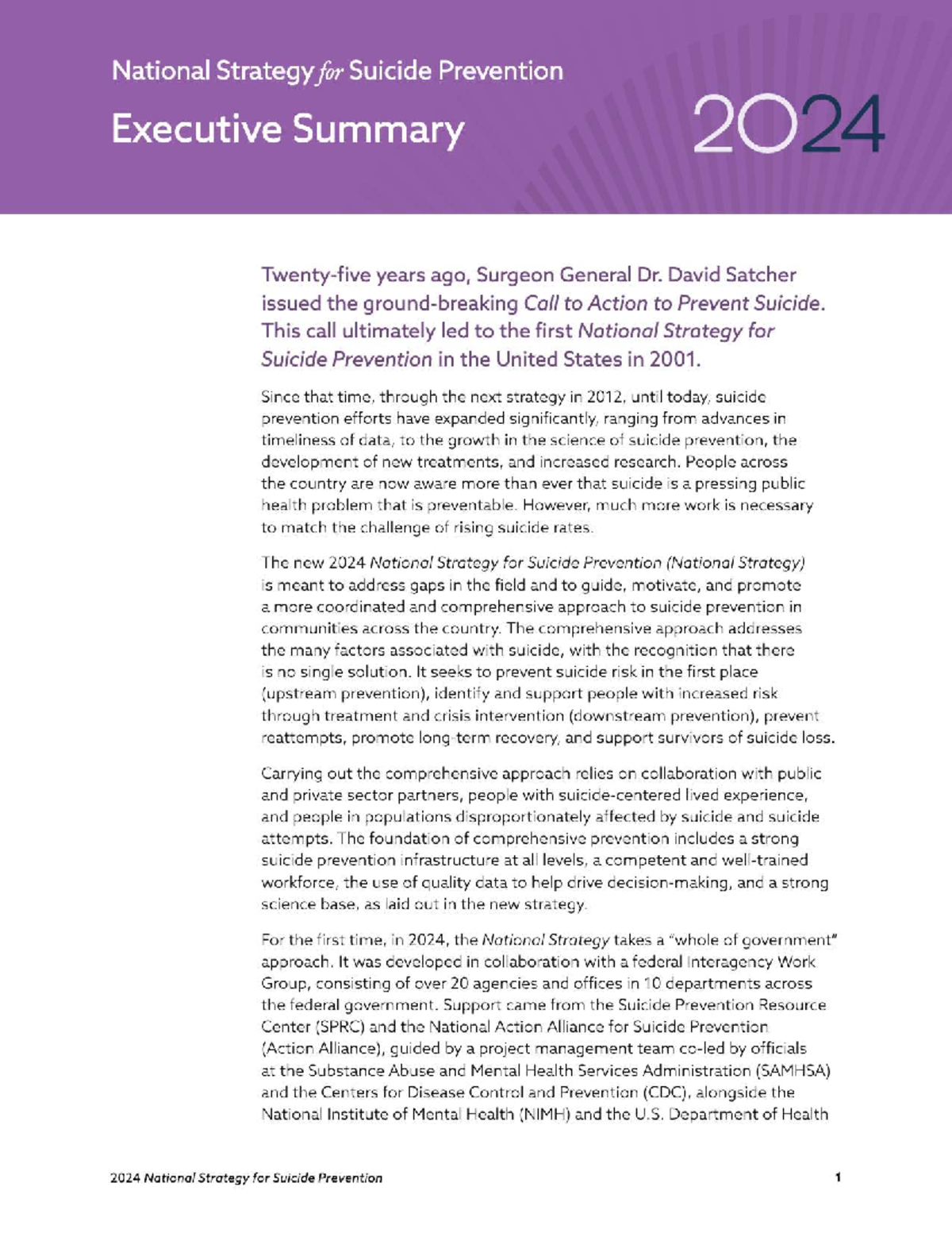2024 National Strategy for Suicide Prevention - Executive Summary - Studocu