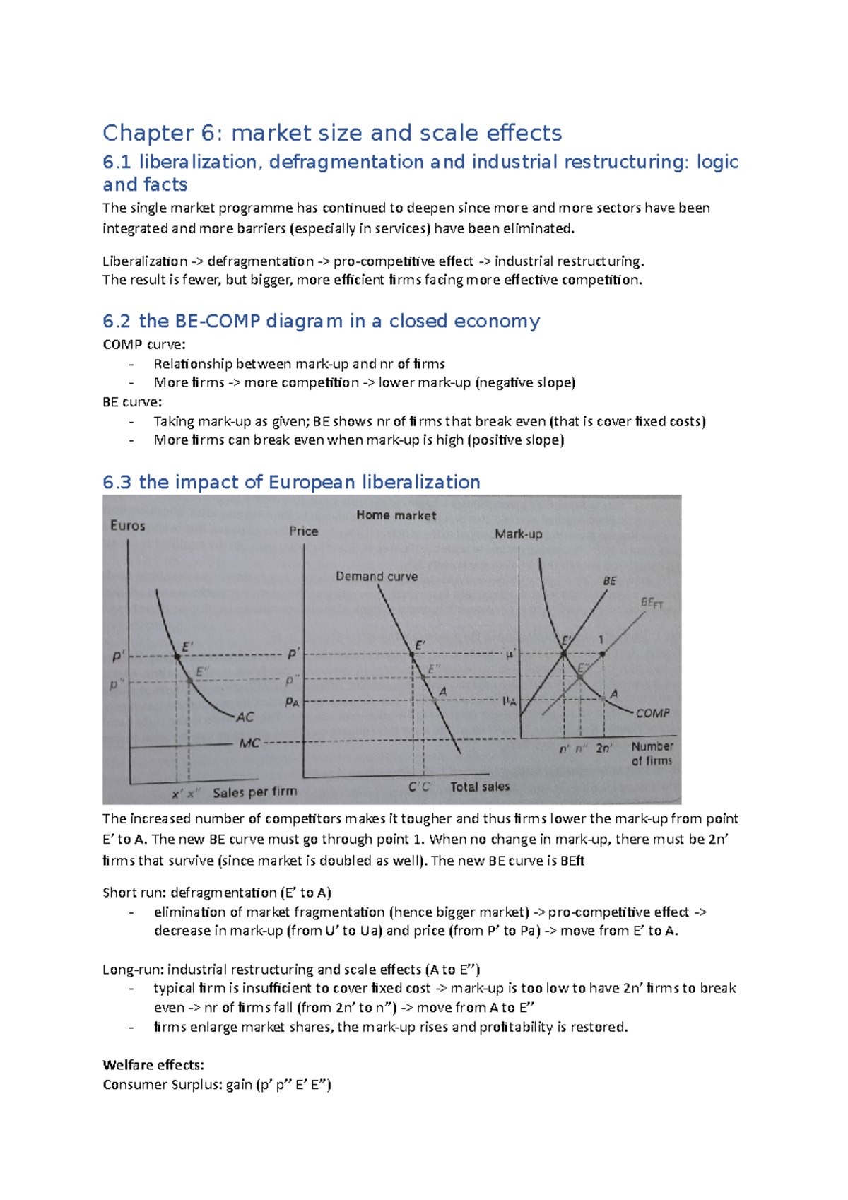 Chapter 6 Summary: Market Size & Scale Effects Analysis - Studeersnel