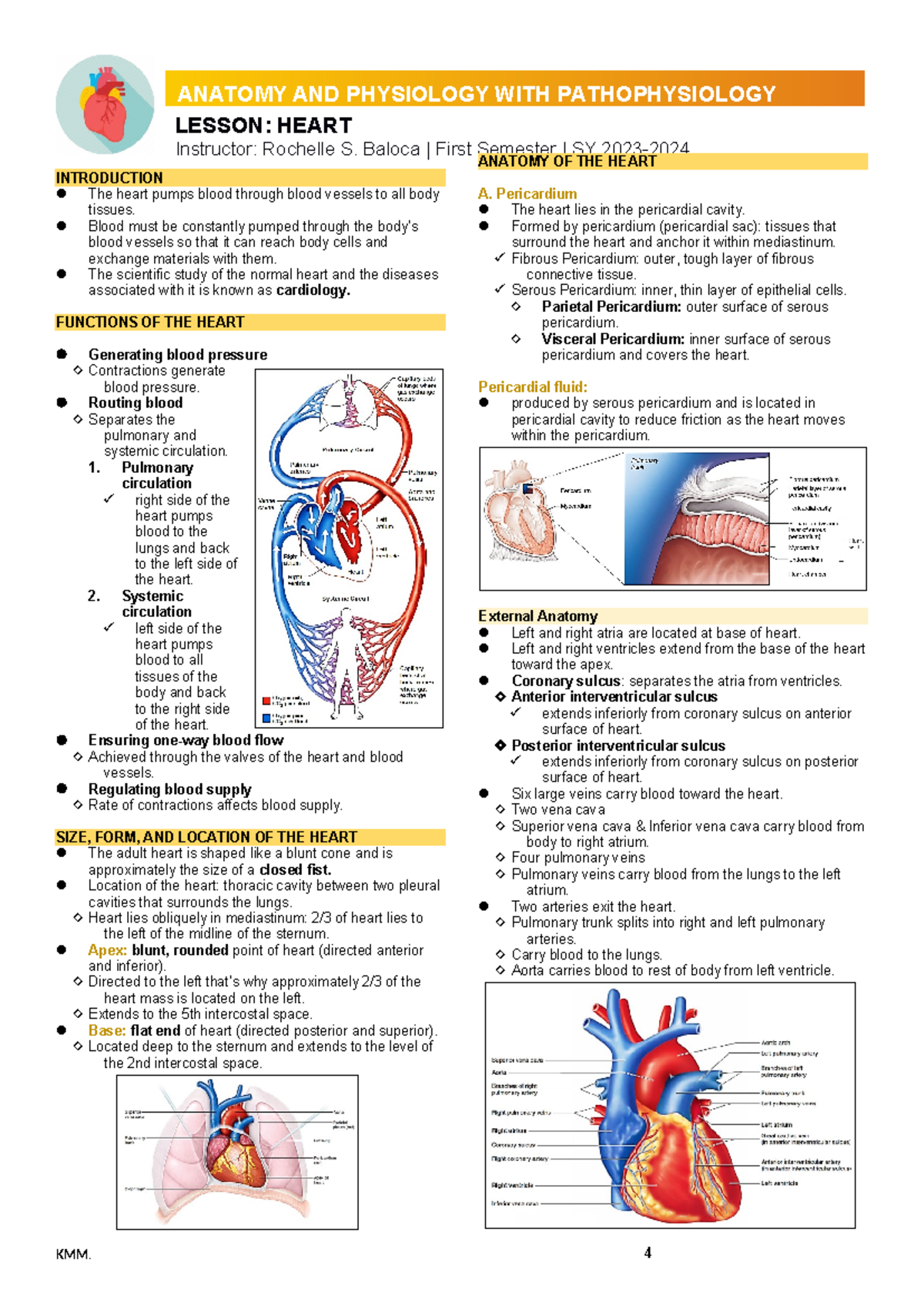 Lesson on the Heart: Key Concepts and Anatomy (SY 2023-) - Studocu