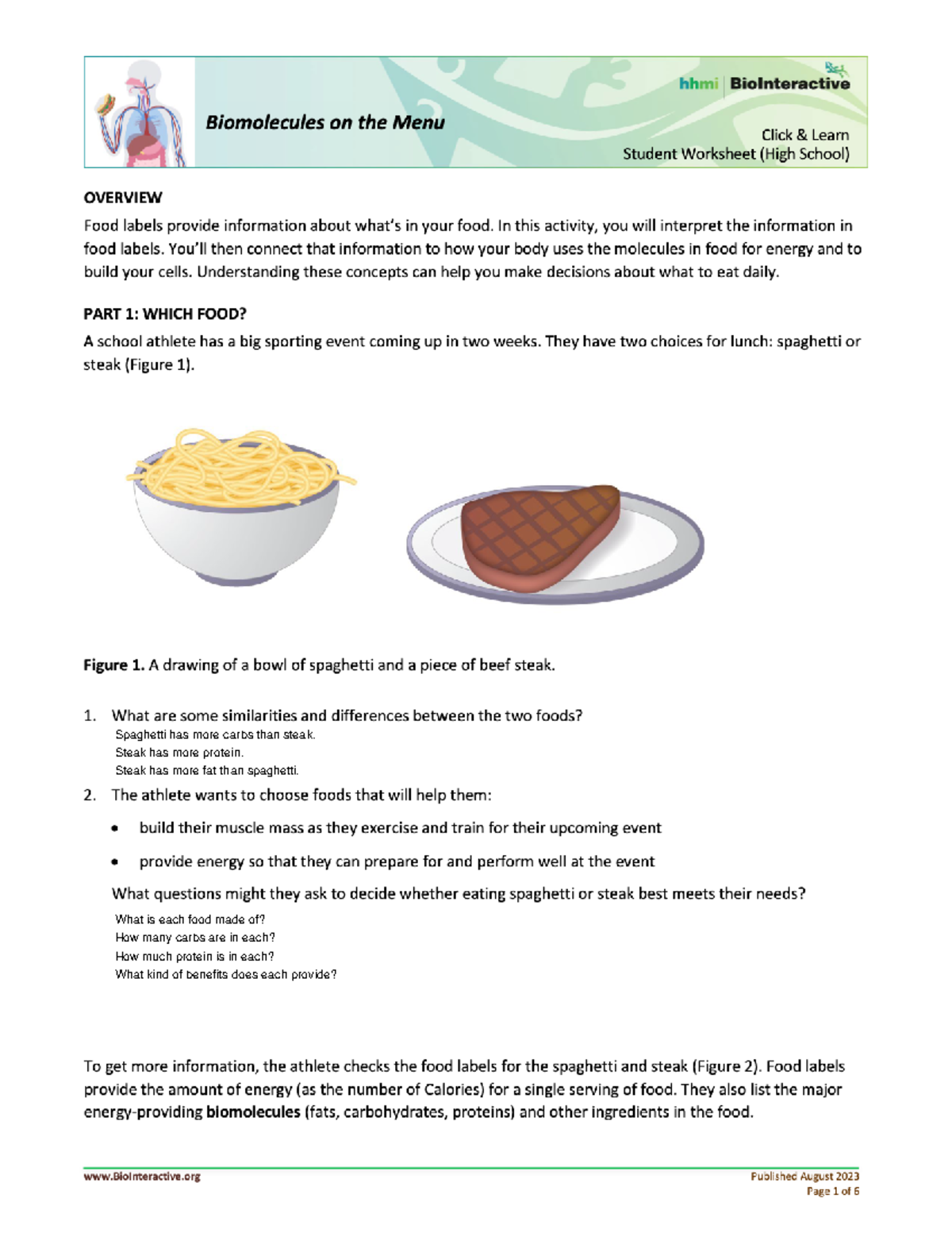 Biomolecules Worksheet Middle School The Biological Building Blocks Biomolecules Worksheet Middle School The Biological Building Blocks