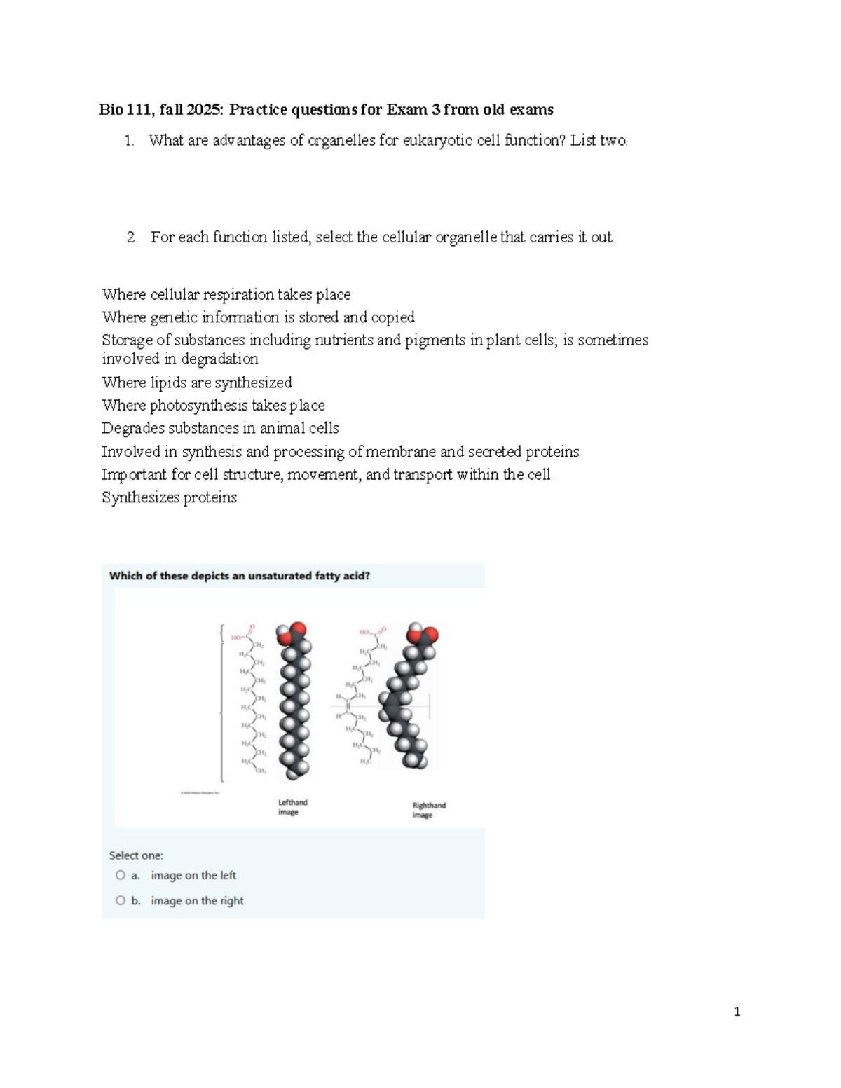 Bio 111: Practice Questions for Exam 3 (Fall 2025) - Studocu