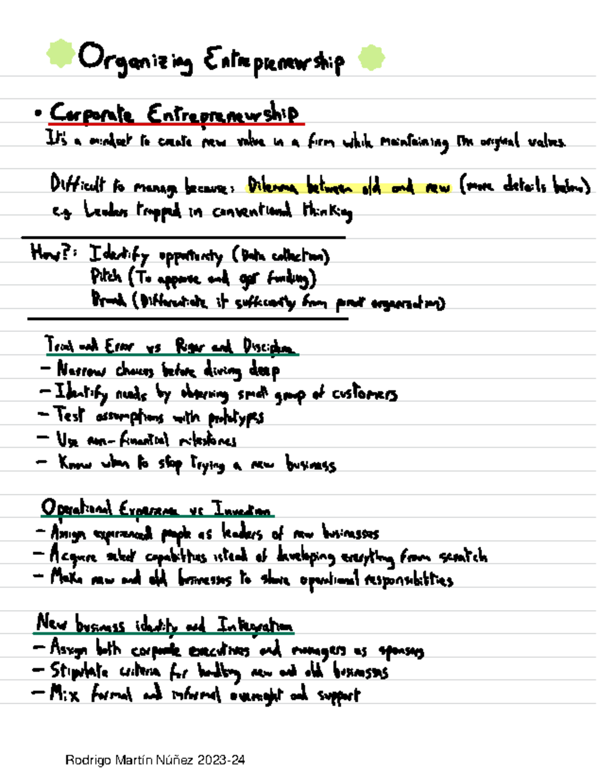 Handwritten Summary - Corporate Entrepreneurship Insights - Studeersnel