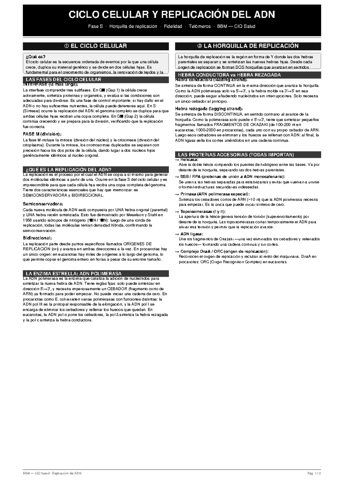 CICLO CELULAR Y REPLICACIÓN DEL ADN - BBM CIO Salud - Studocu