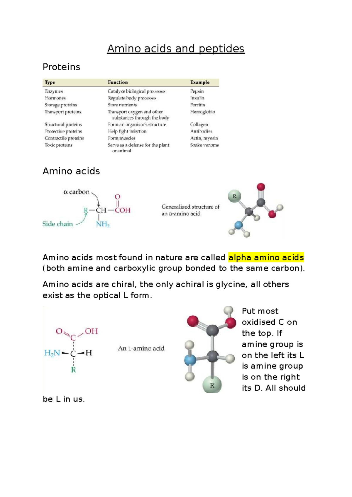 Amino Acids and Peptides: Key Concepts and Structures (BIO101) - Studocu