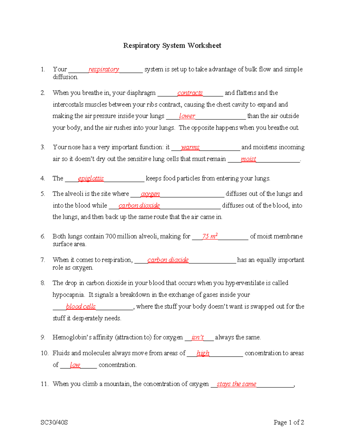 Respiratory System Worksheet answers - SC30/40S Page 1 of 2 Respiratory ...