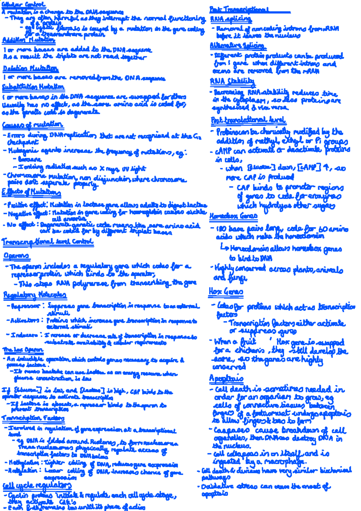 26. Cellular Control - OCR A Level Biology A Summary Notes - Studocu