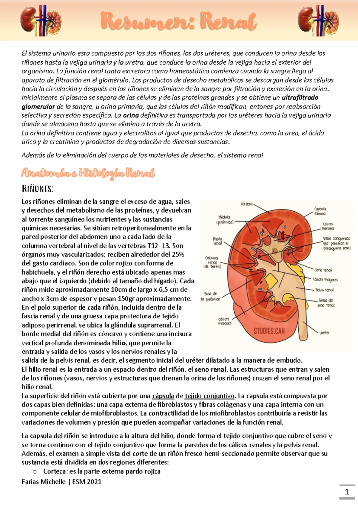 Título: Estudio sobre Compliancia Pulmonar y Diferencias de Presiones ...