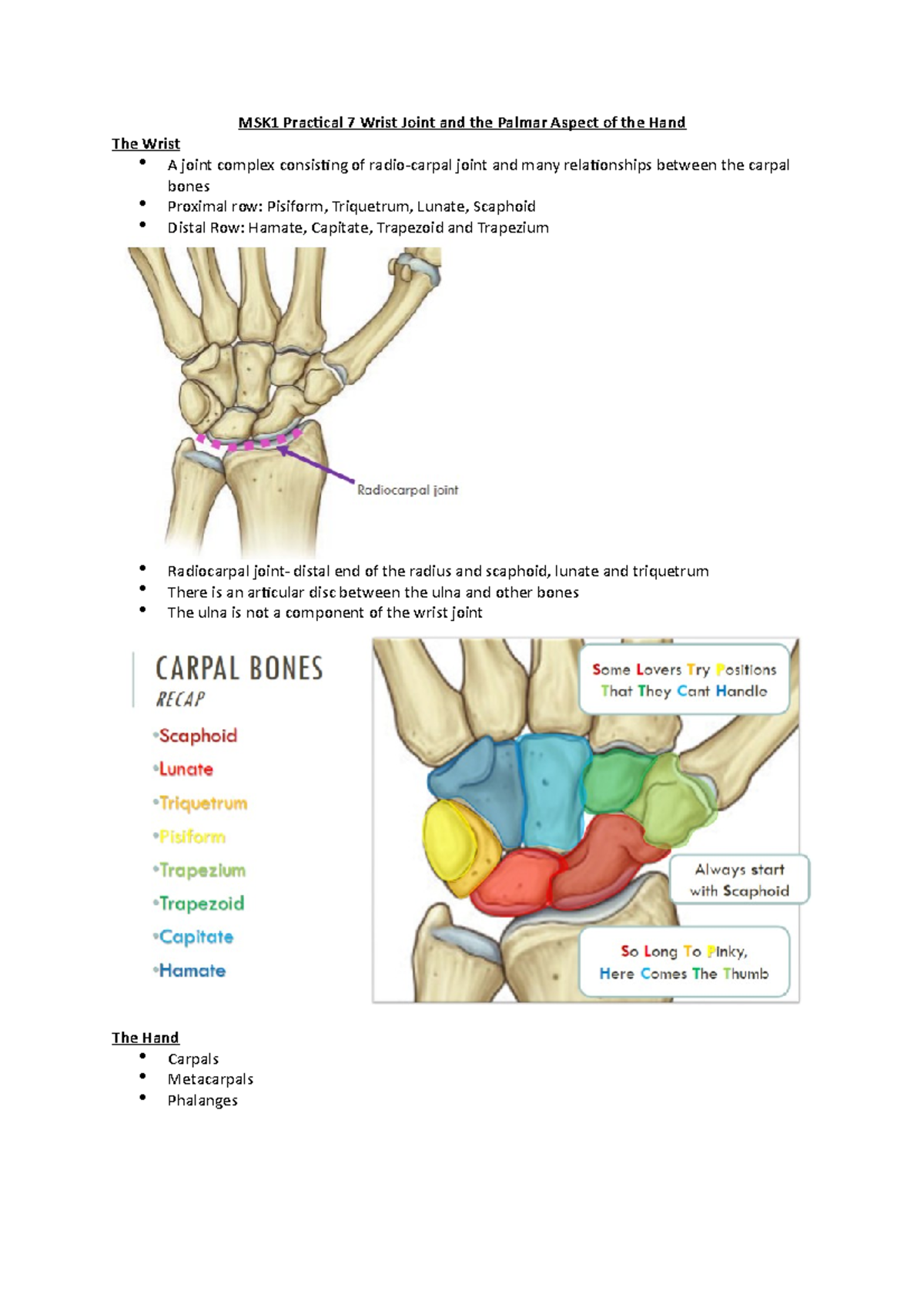 MSK1 Practical 7: Anatomy of the Wrist Joint and Hand Movements - Studocu