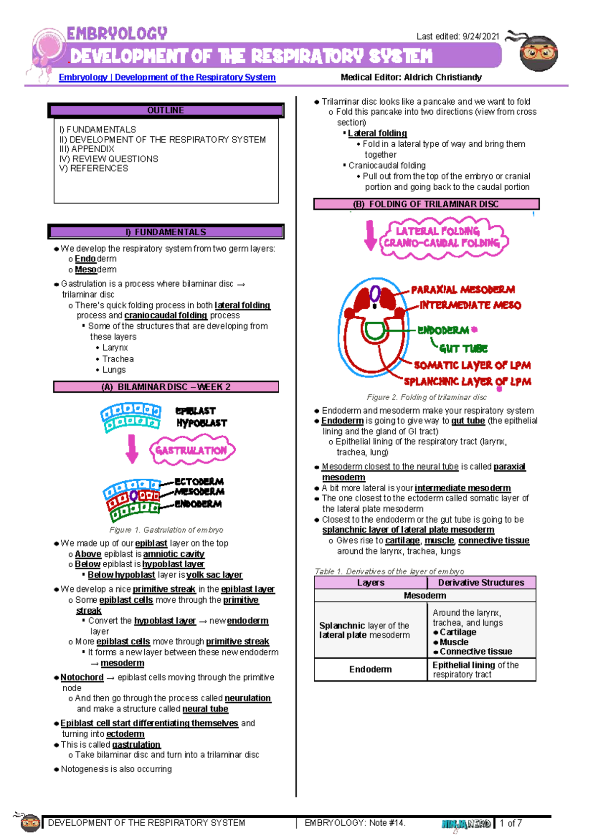 272 - Embryology Lecture: Development of the Respiratory System - Studocu