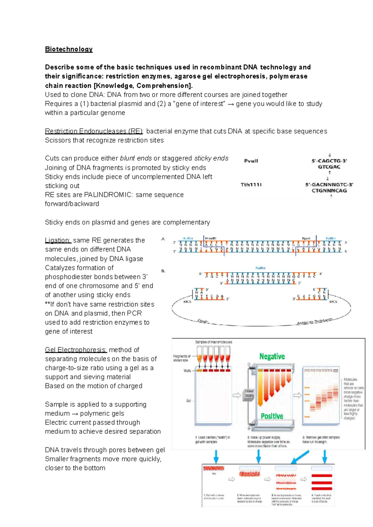 Genetics Bio Review #3: Key Concepts in Recombinant DNA Technology ...