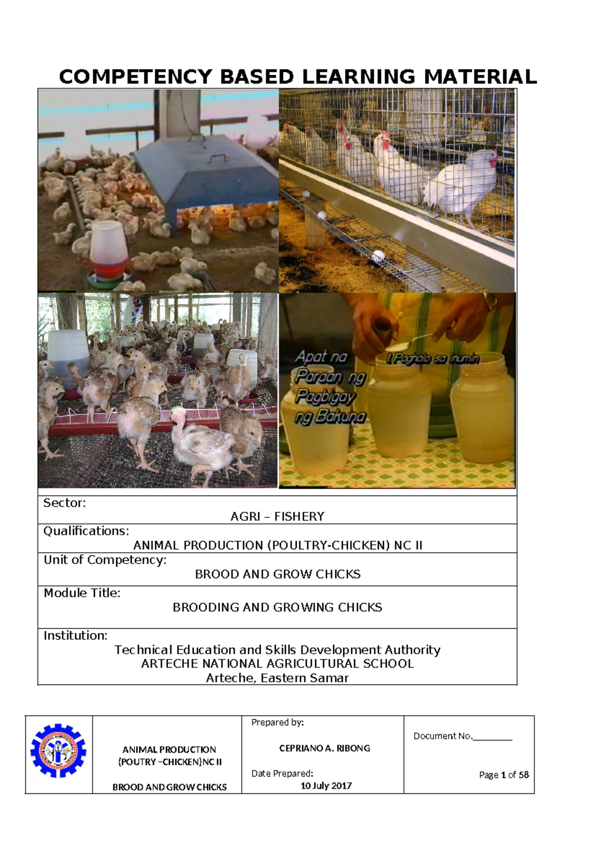 598407702 Brooding and Growing Chicks in Animal Production NC II - Studocu