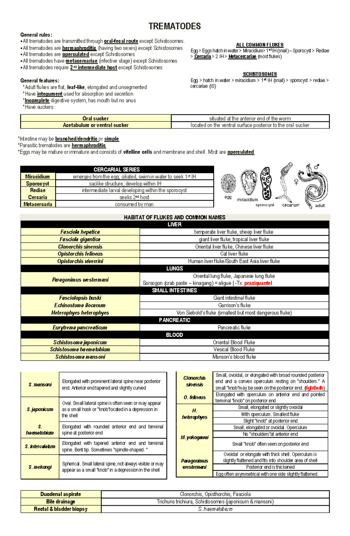 Parasitology Study Guide: TREMATODES & CESTODES Overview (Course Code ...