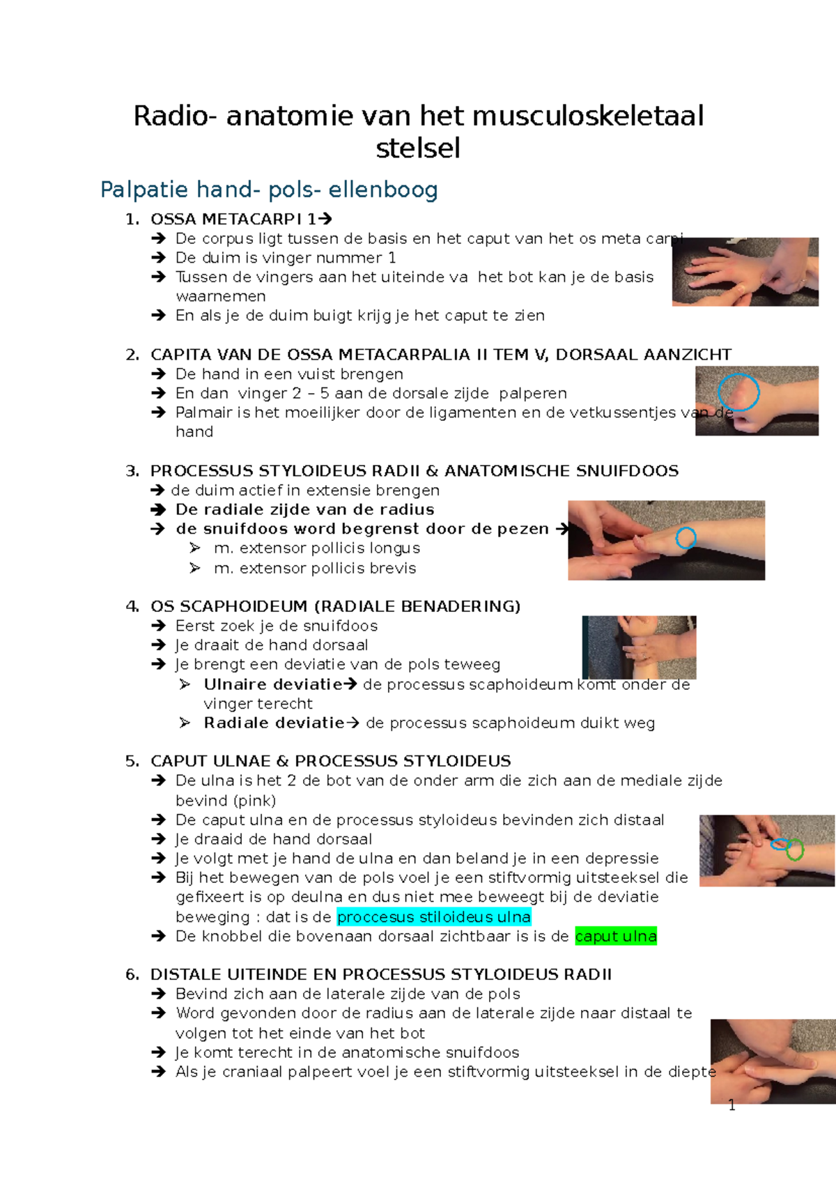 Radio - Anatomie Praktijk: Palpatie van het Musculoskeletaal Stelsel ...
