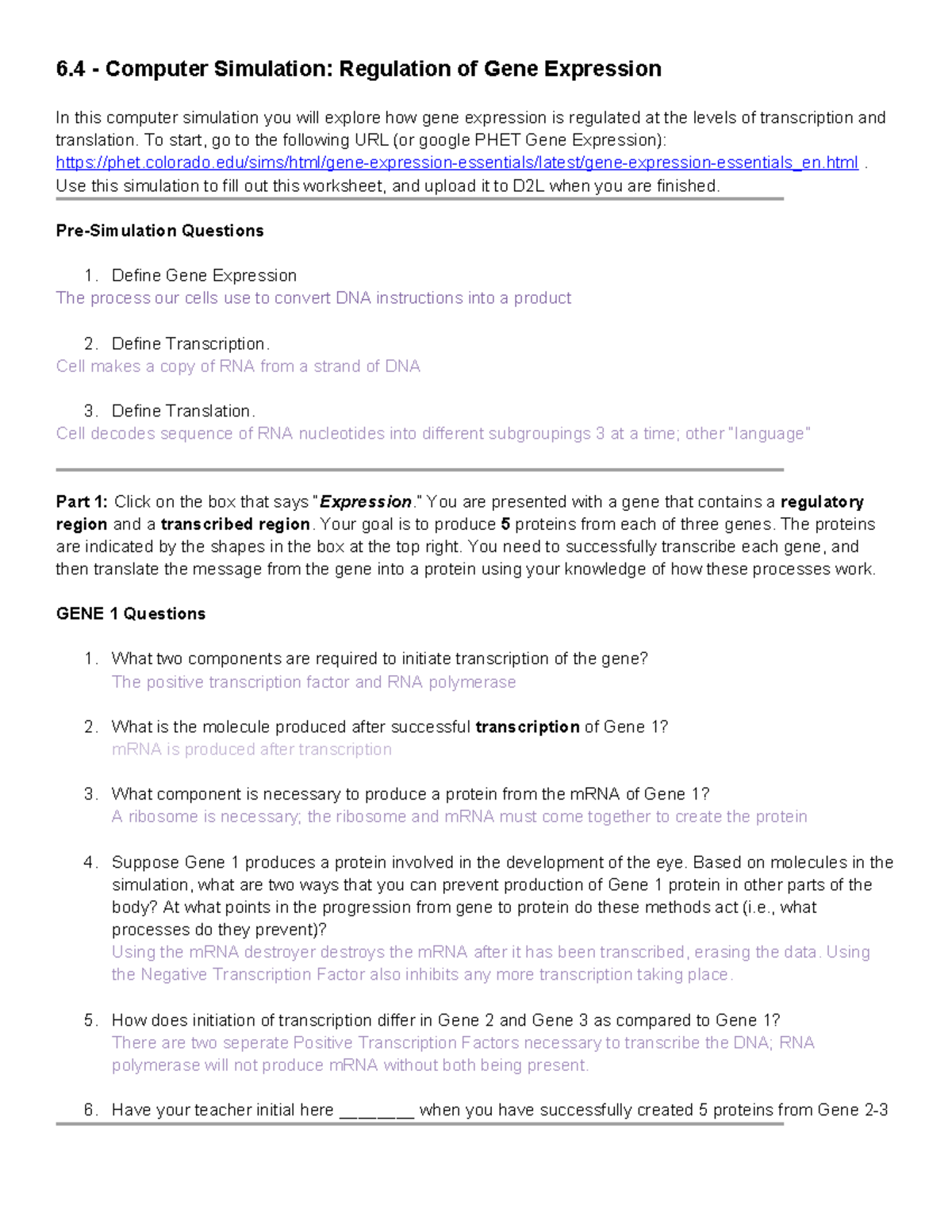 6.4 - Lab Worksheet - Katie Laing - 6 - Computer Simulation: Regulation ...