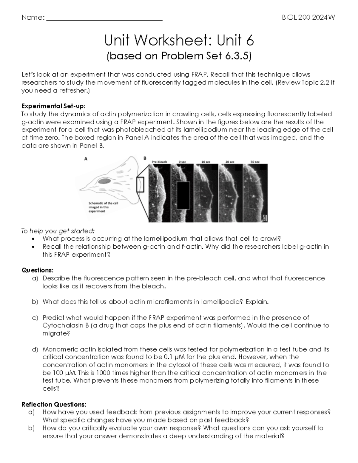 BIOL 200 Unit 6 Practice: FRAP and Actin Dynamics Insights - Studocu