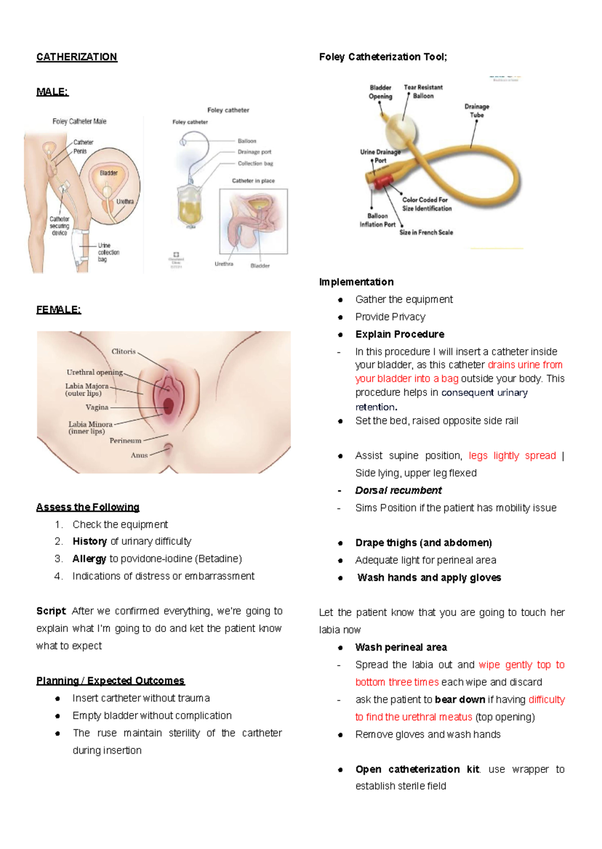 Catheterization (Foley Catheter) Female - CATHERIZATION MALE: FEMALE ...