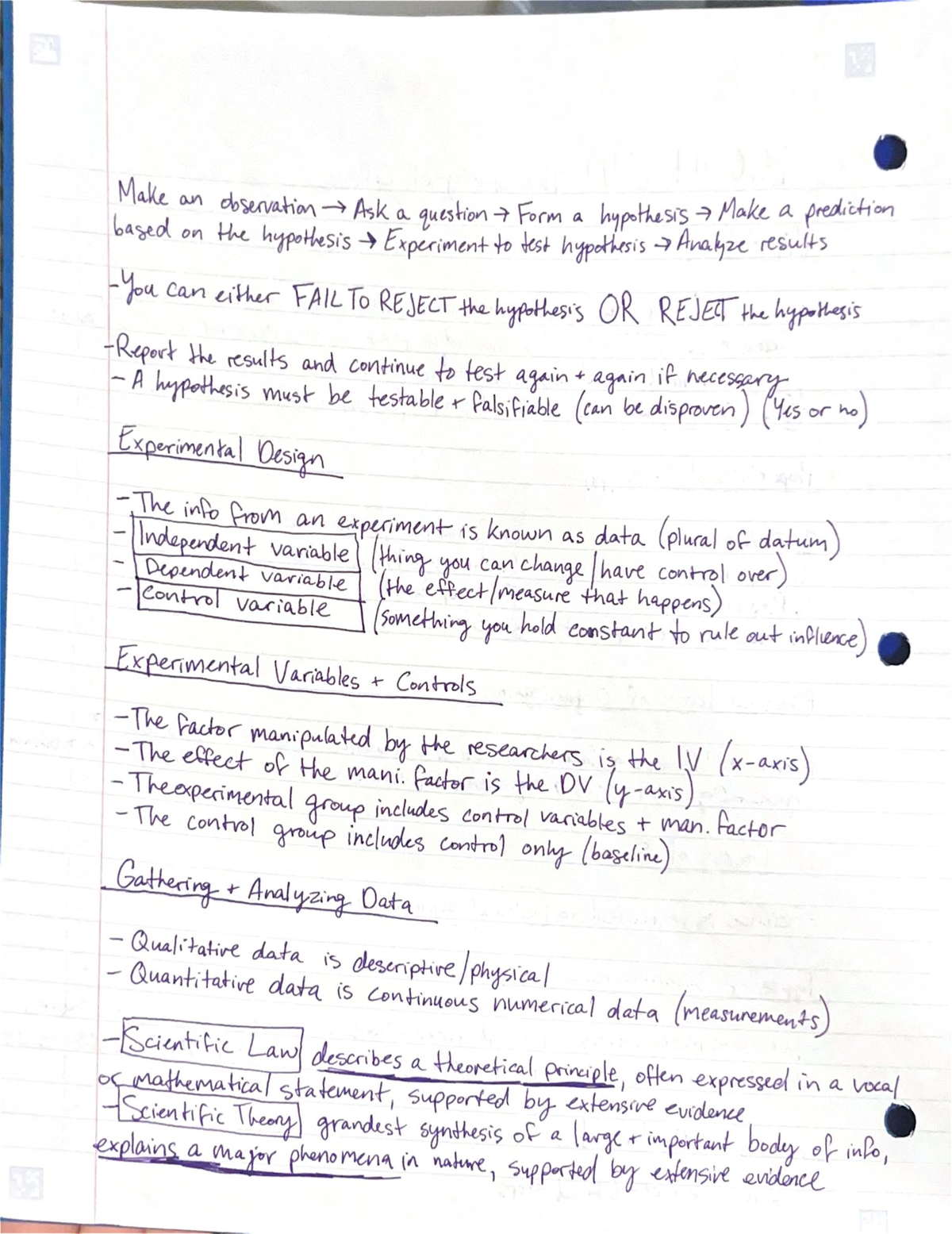 Document Review and Analysis for Course XYZ 101: Final Project Report ...
