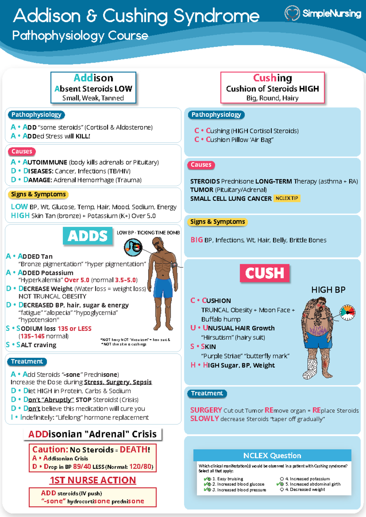 Cushing Syndrome Pathophysiology Calgary Guide