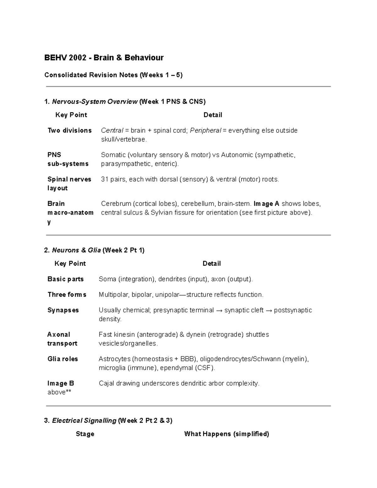 BEHV 2002 Final Exam Revision Notes: Brain & Behaviour Overview - Studocu