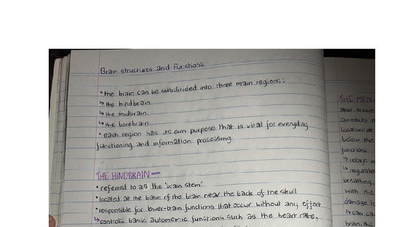 Comprehensive Study Guide for ABC123: Brain Structures & Functions ...
