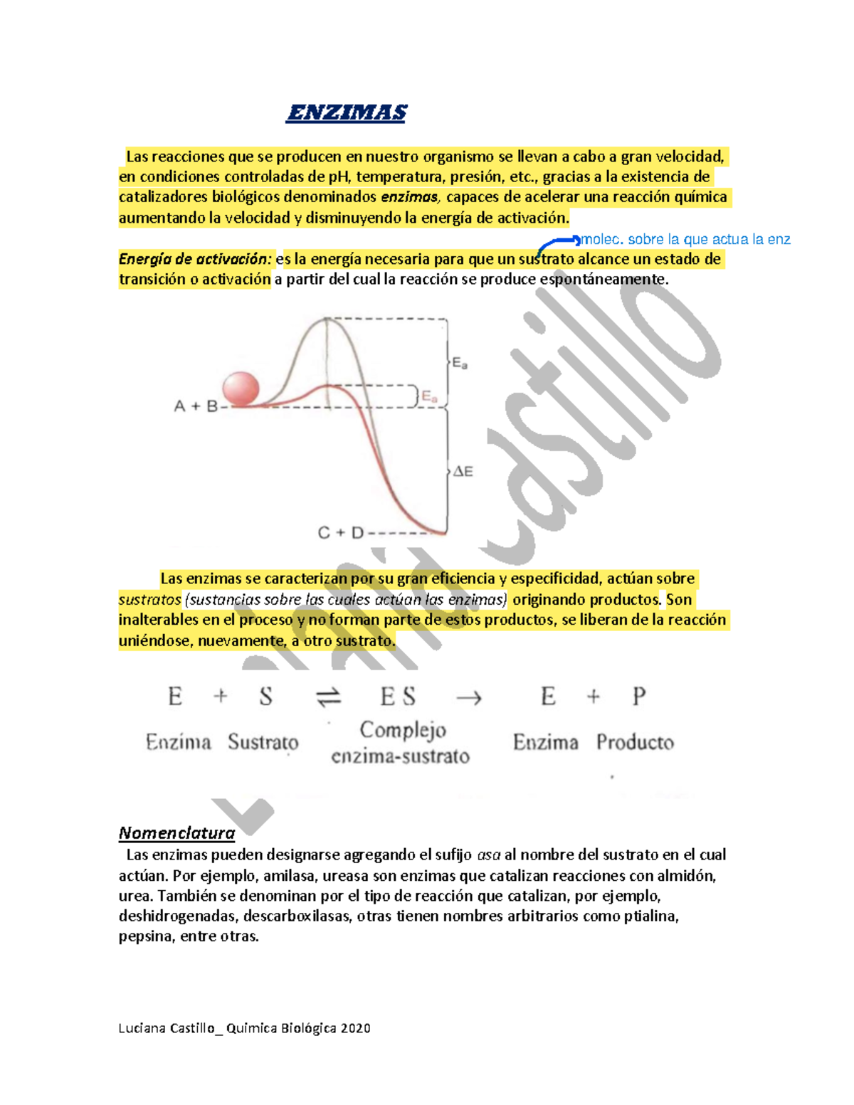 ENZIMAS: Funciones, Clasificación y Regulación en Química Biológica - Document Preview