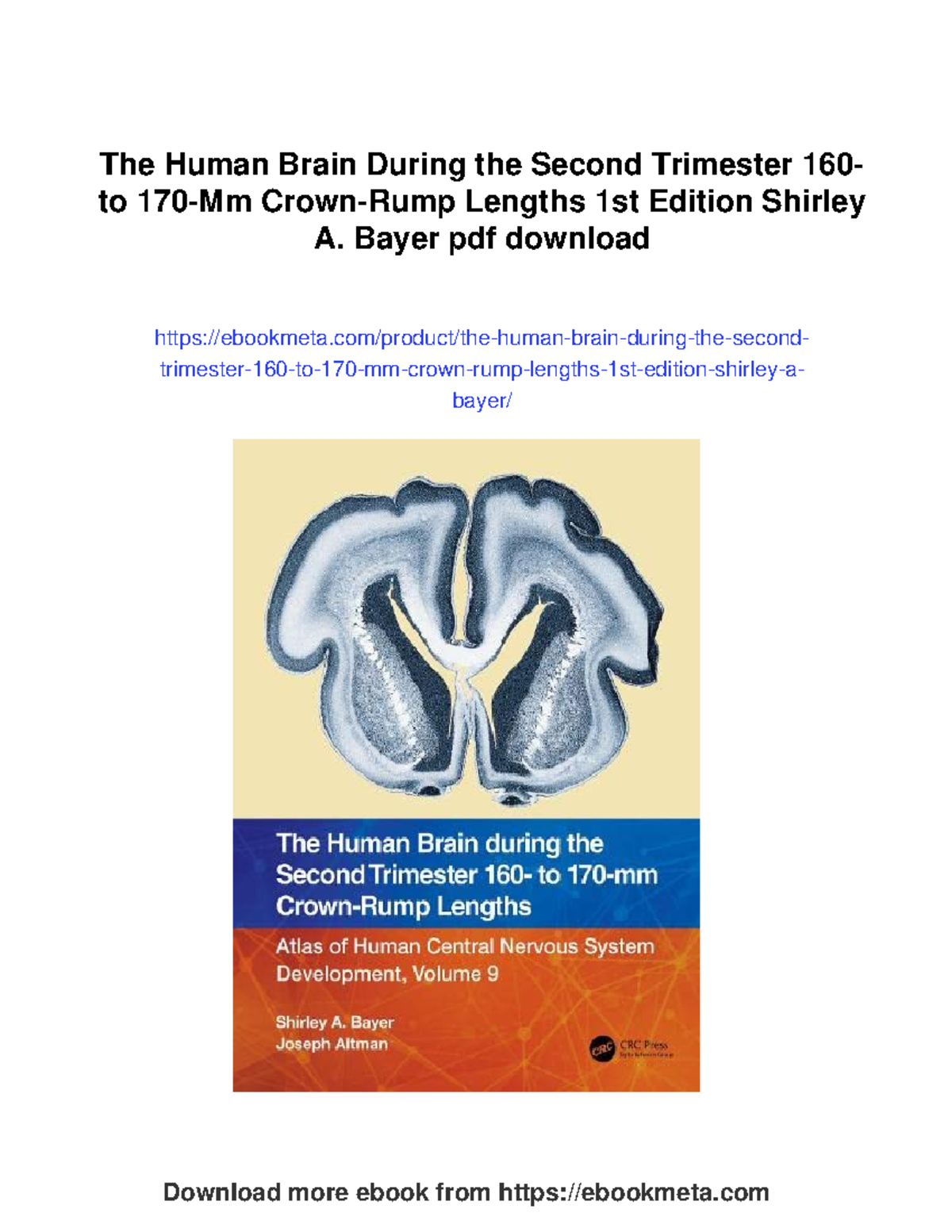 The Human Brain During the Second Trimester: 1st Edition by Shirley A ...