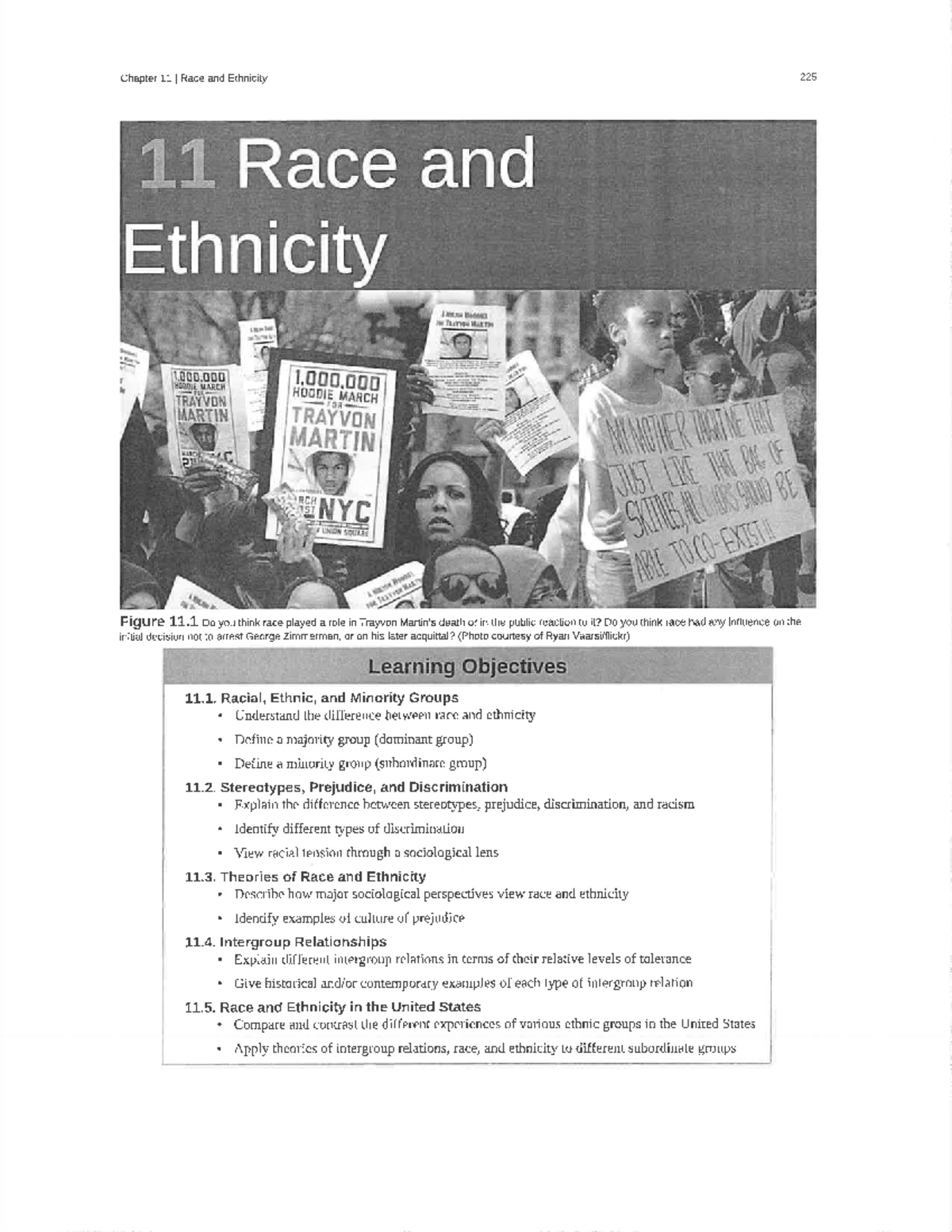 Copy of Chapter 11 - Race and Ethnicity - 11 Race and Ethnicity Item ...