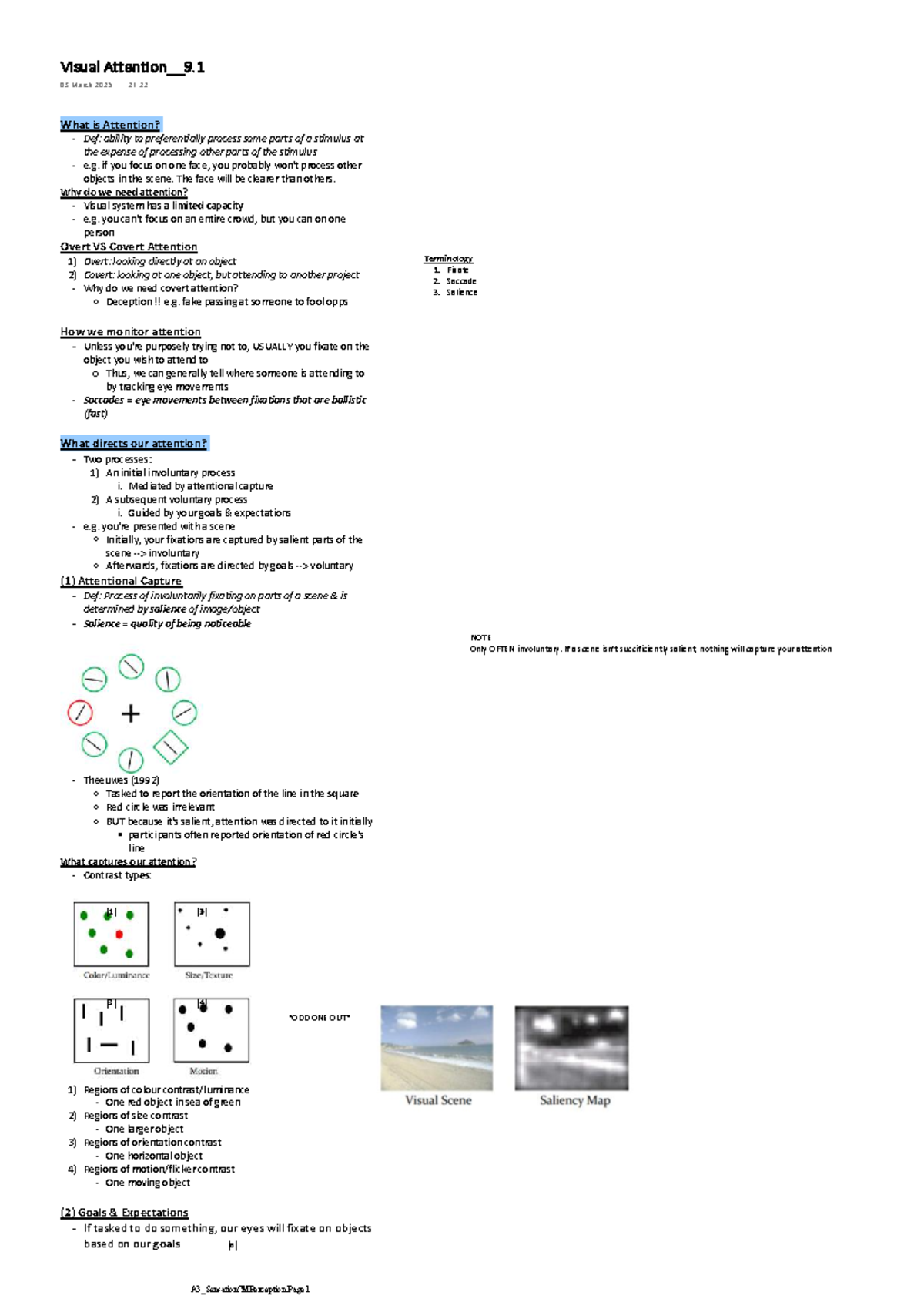 Visual Attention: Week 9 Lecture Notes (03 March 2025) - Studocu