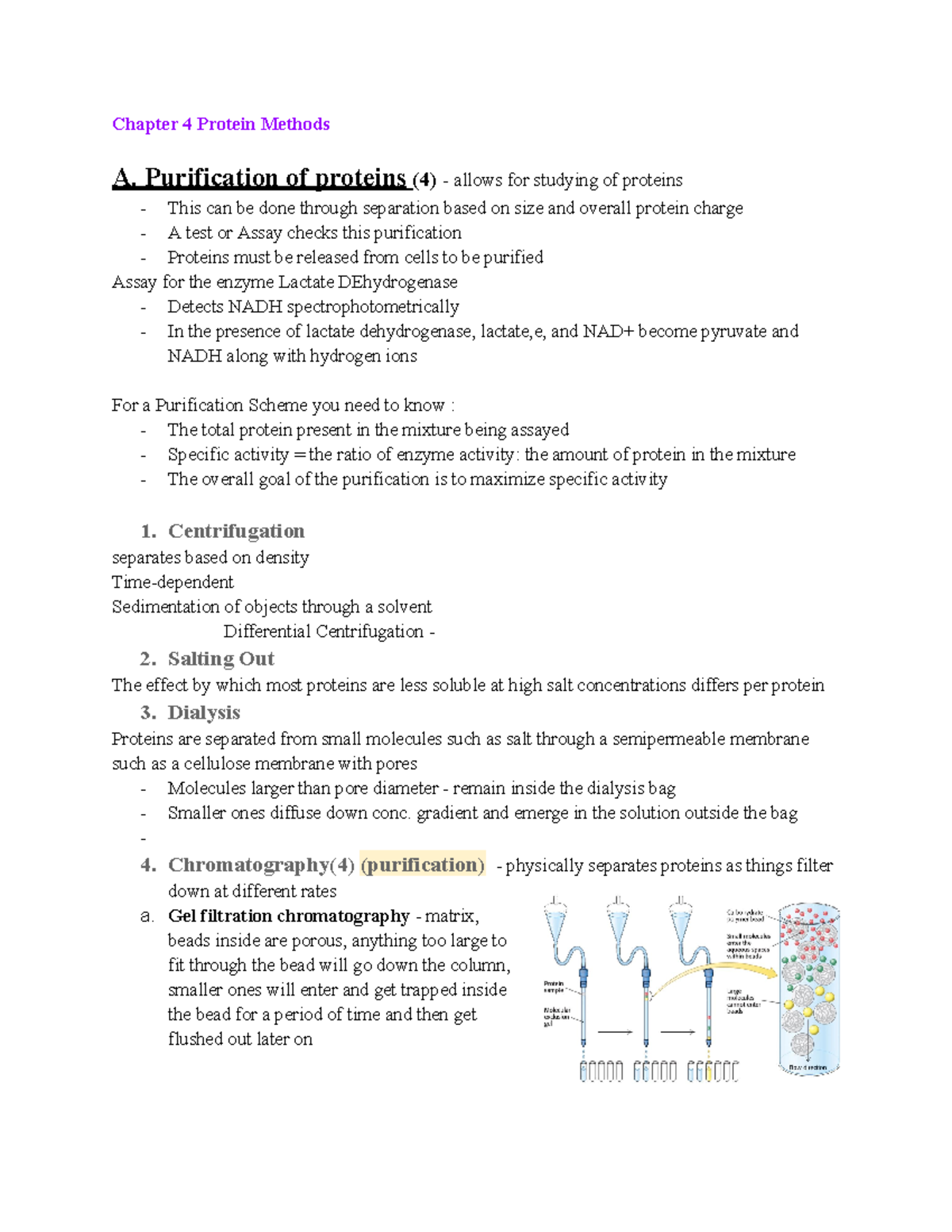 Biochem Chapter 4 - Lecture Notes - Chapter 4 Protein Methods A ...