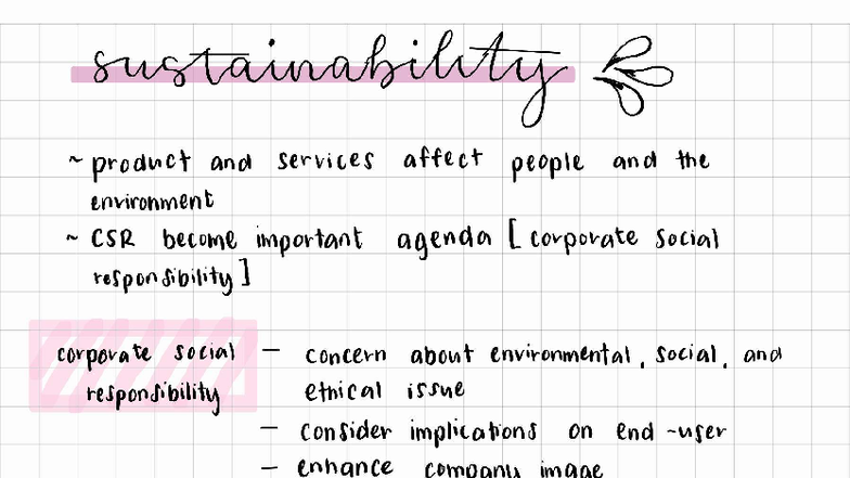 CHAP3 MGT345 - Notes on Sustainability and CSR Impacts - Studocu