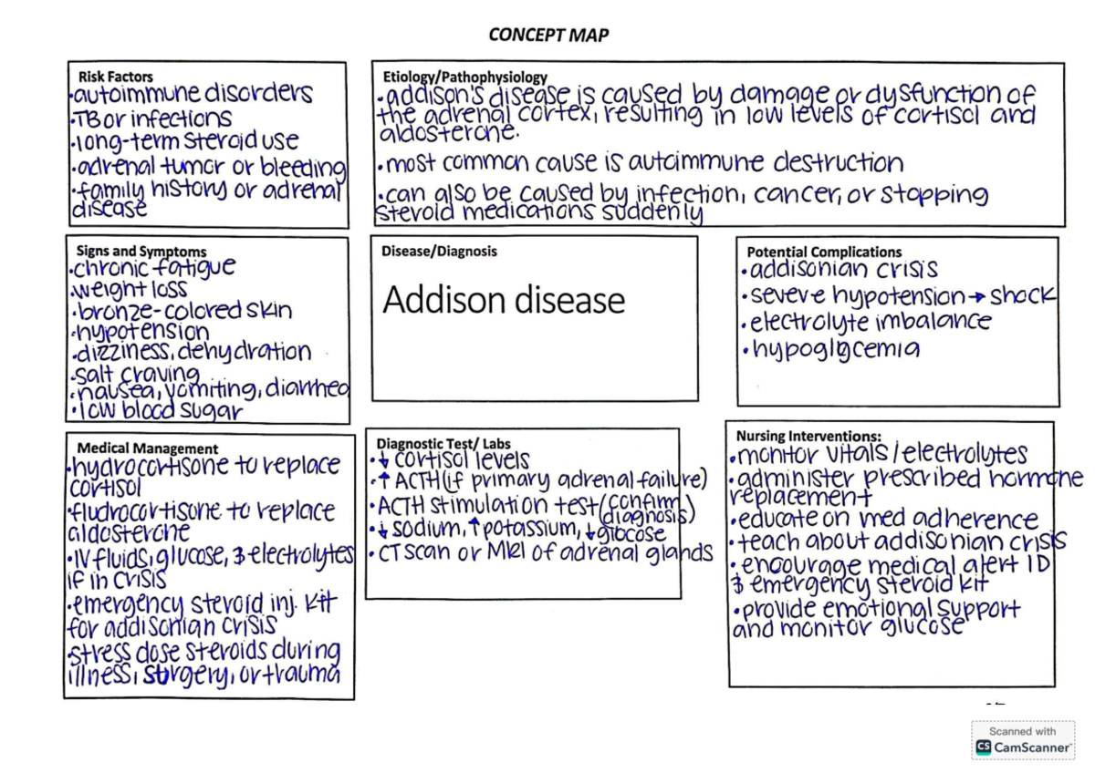 Addison Disease Concept Map: Risk Factors & Management (MED 101) - Studocu