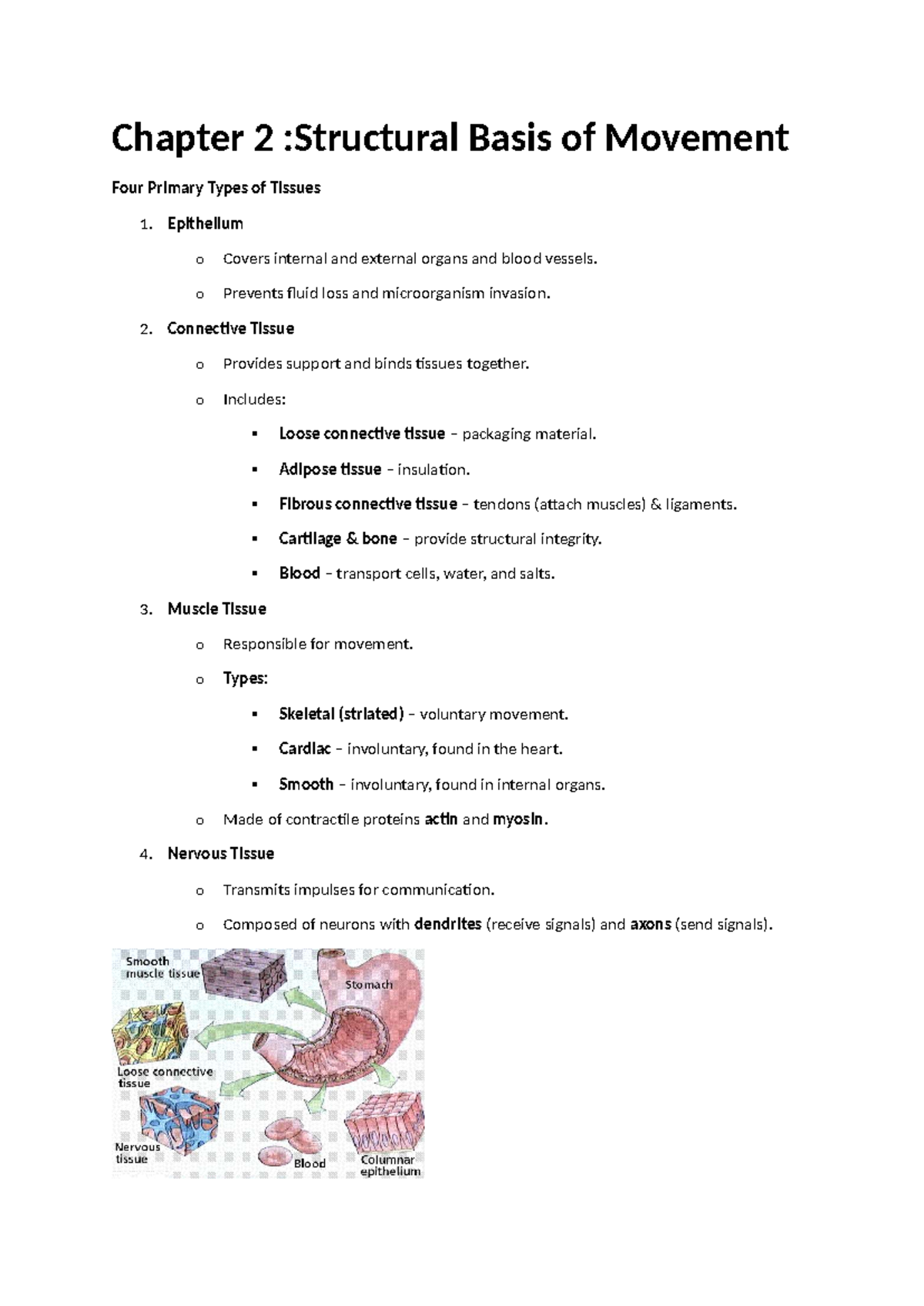 Agri1514 Chapter 2: Structural Basis of Movement & Tissue Types - Studocu