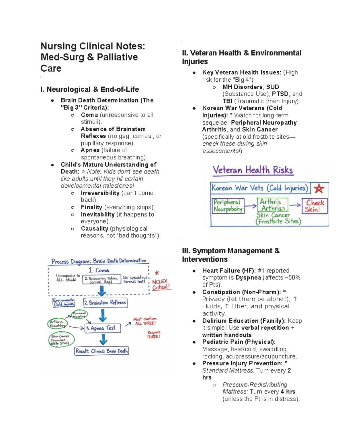 Nursing Clinical Notes: Palliative Care II & Veteran Health Issues ...