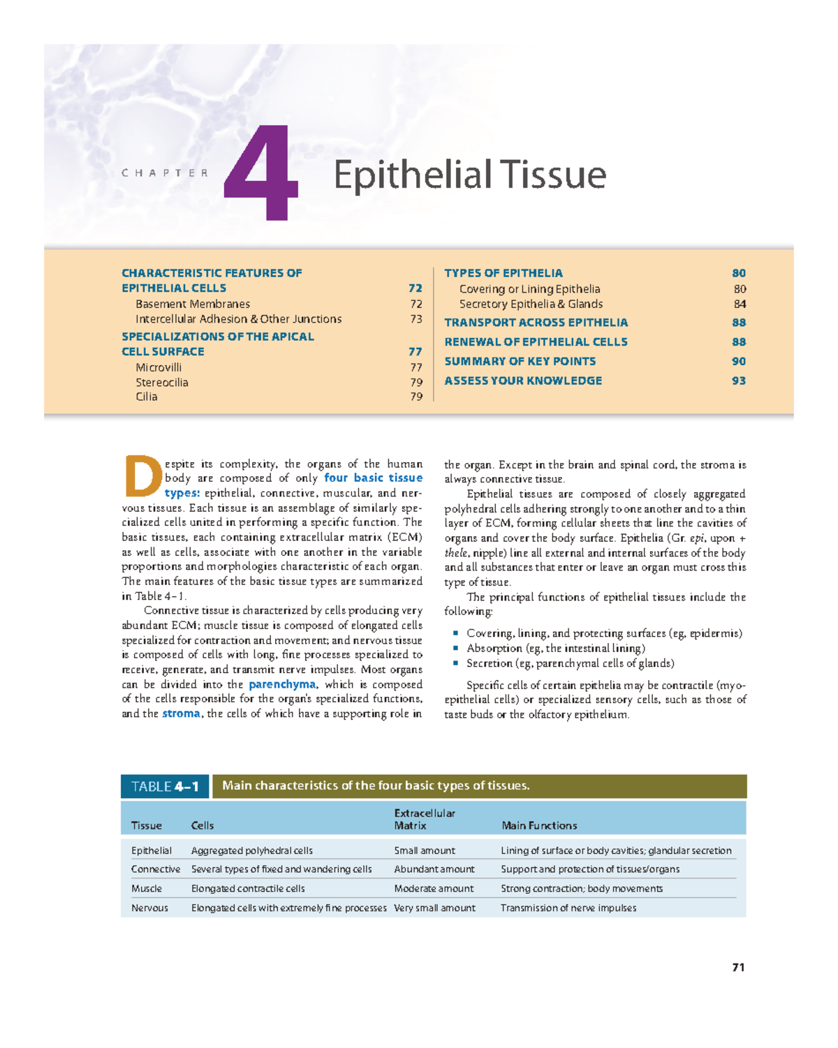 C H A P T E R 4 Epithelial Tissue: Key Features and Functions - Studocu