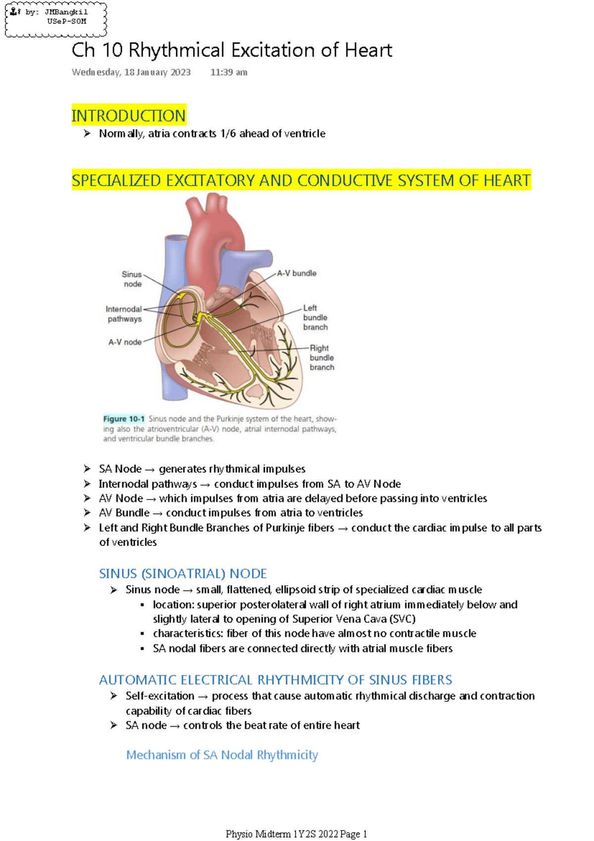 Ch 10: Rhythmical Excitation of the Heart - USeP-SOM Notes - Studocu