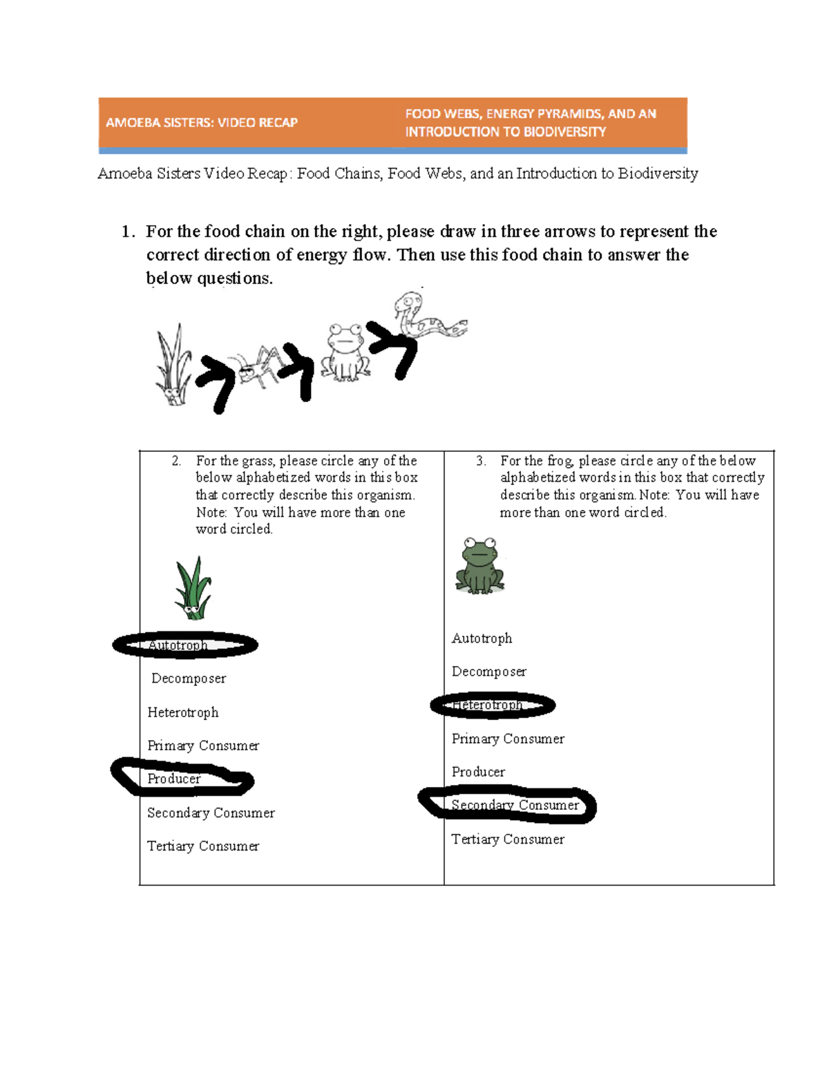 Amoeba Sisters Video Recap: Food Chains \u0026 Webs Overview LFP - Studocu, image size:1200x1553