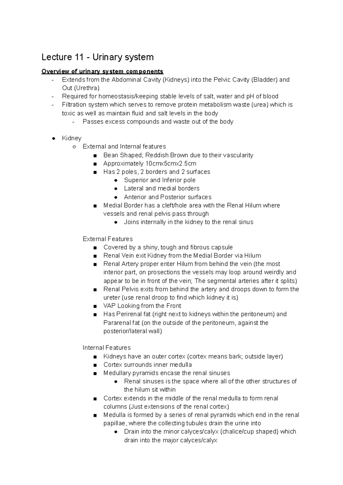 Anat3007 - Lecture Notes on Urinary & Urogenital Systems - Studocu