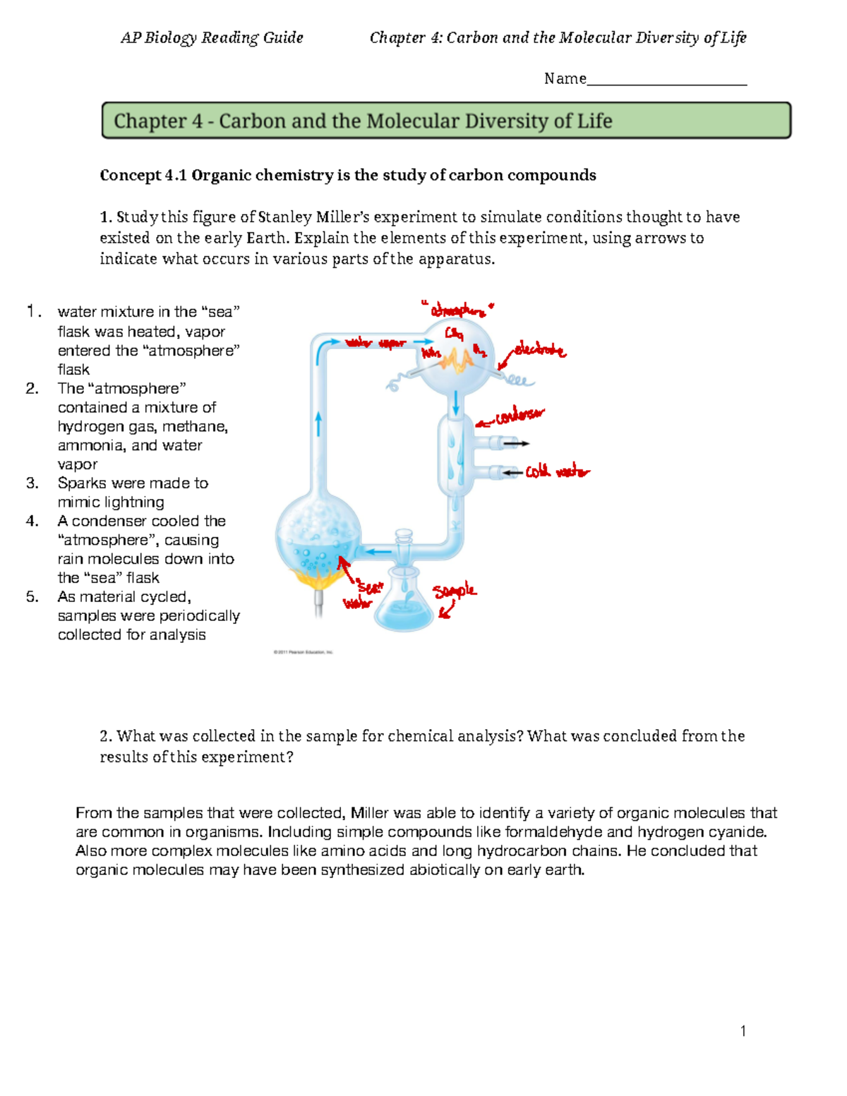 AP Biology Reading Guide (APBIO) Chapter 4: Carbon's Molecular ...
