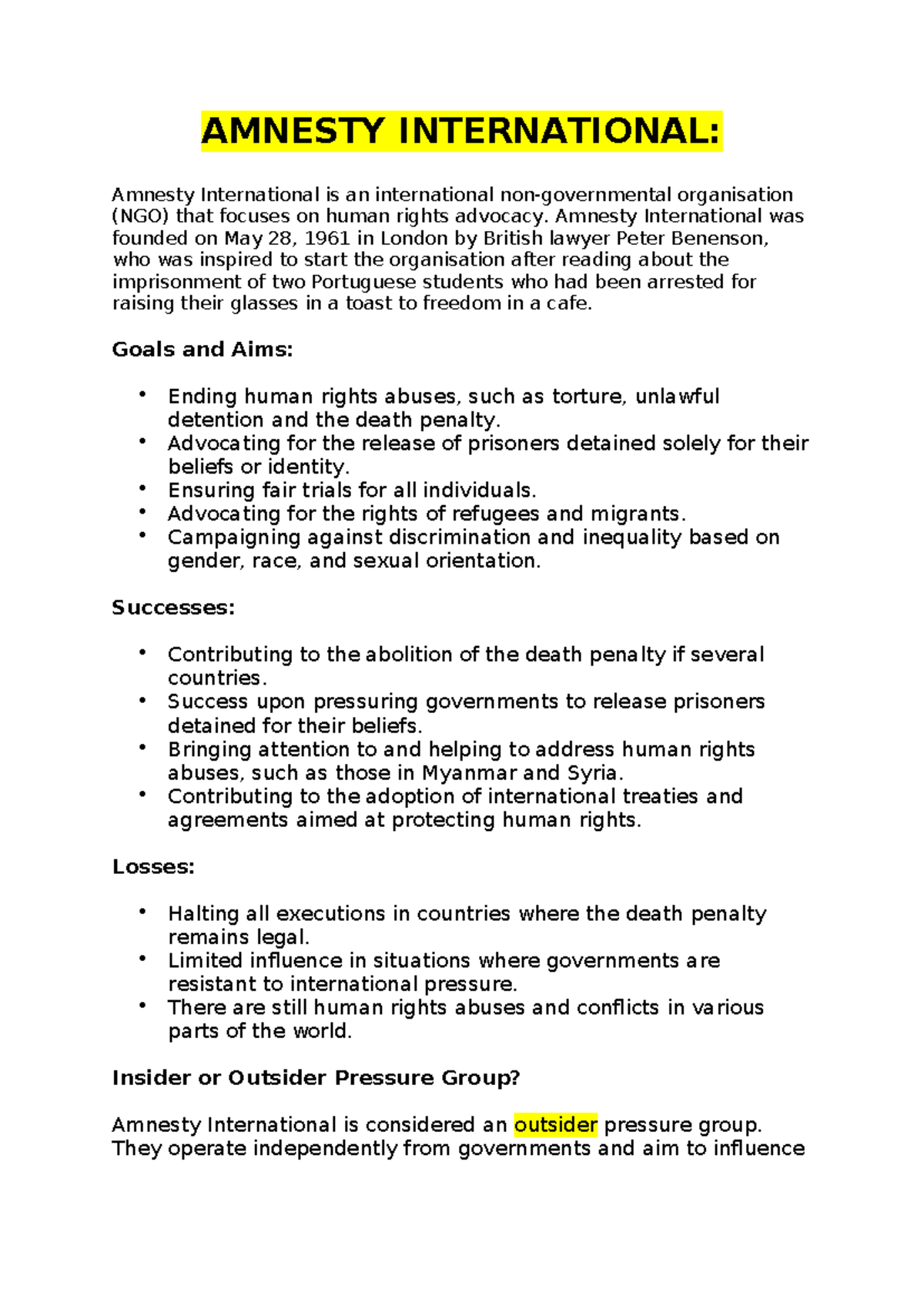 Amnesty Int'l NGO: Human Rights Advocacy Overview & Impact Analysis ...