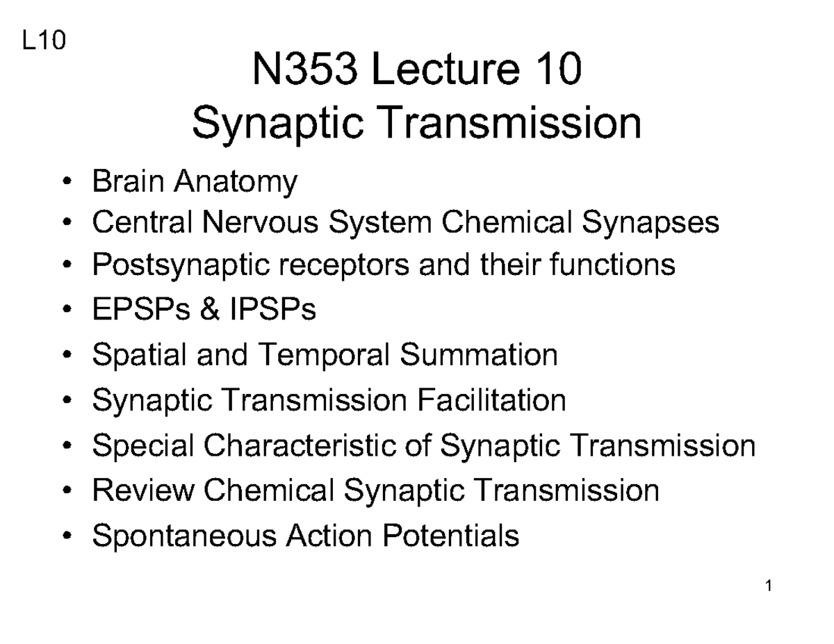 N353 FA2025 Lecture 10: Insights on Synaptic Transmission and ...