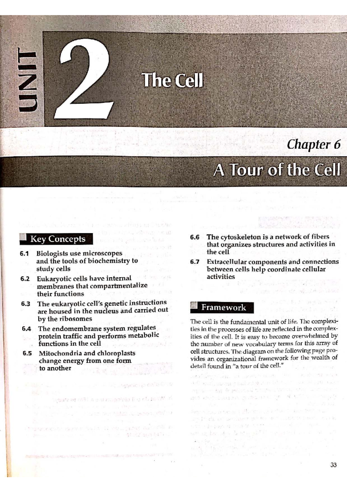 Final Exam Study Guide: Unit 2 - The Cell (Chapter 6) - Studocu