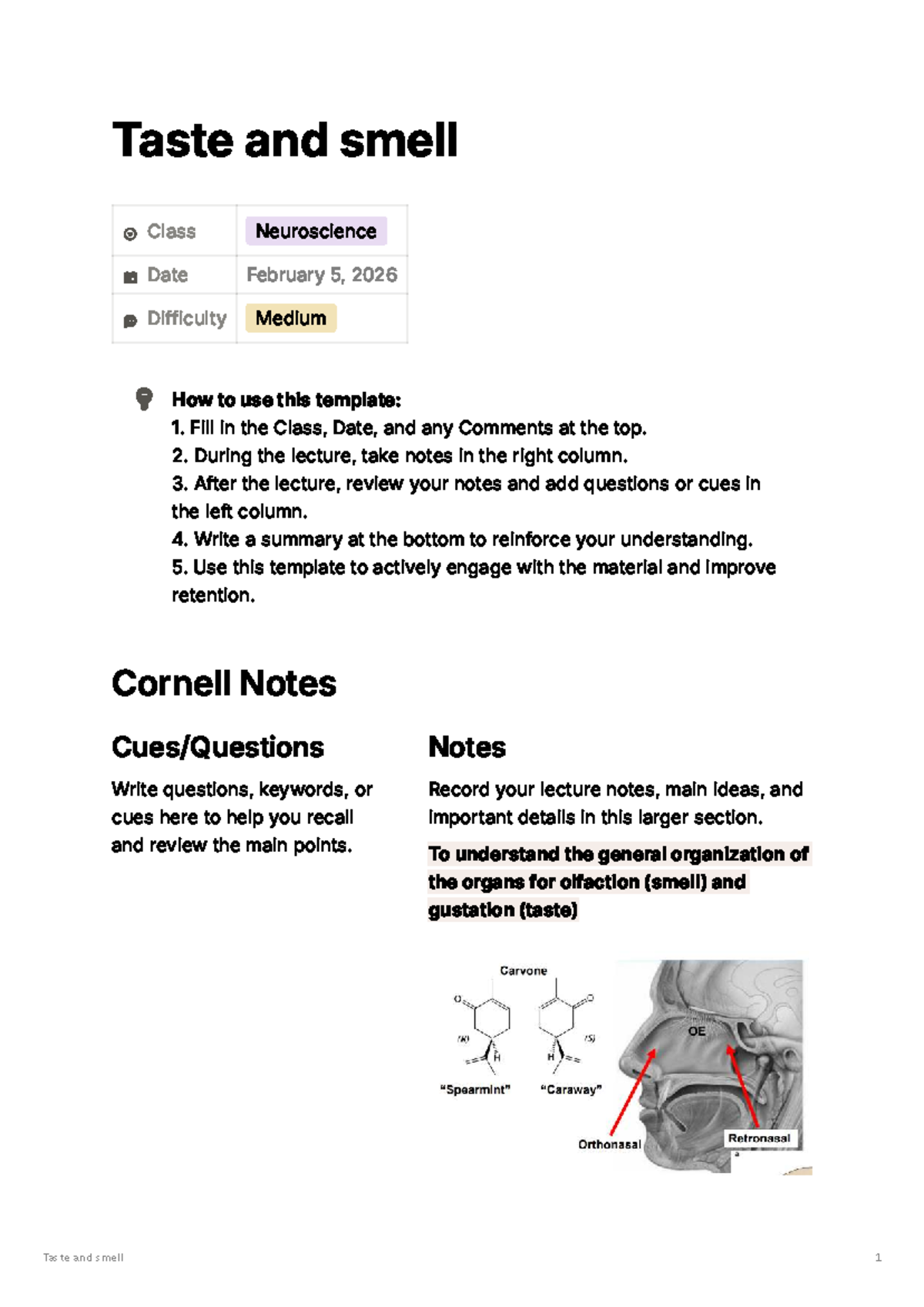 Neuroscience Lecture Notes: Taste and Smell - Studocu
