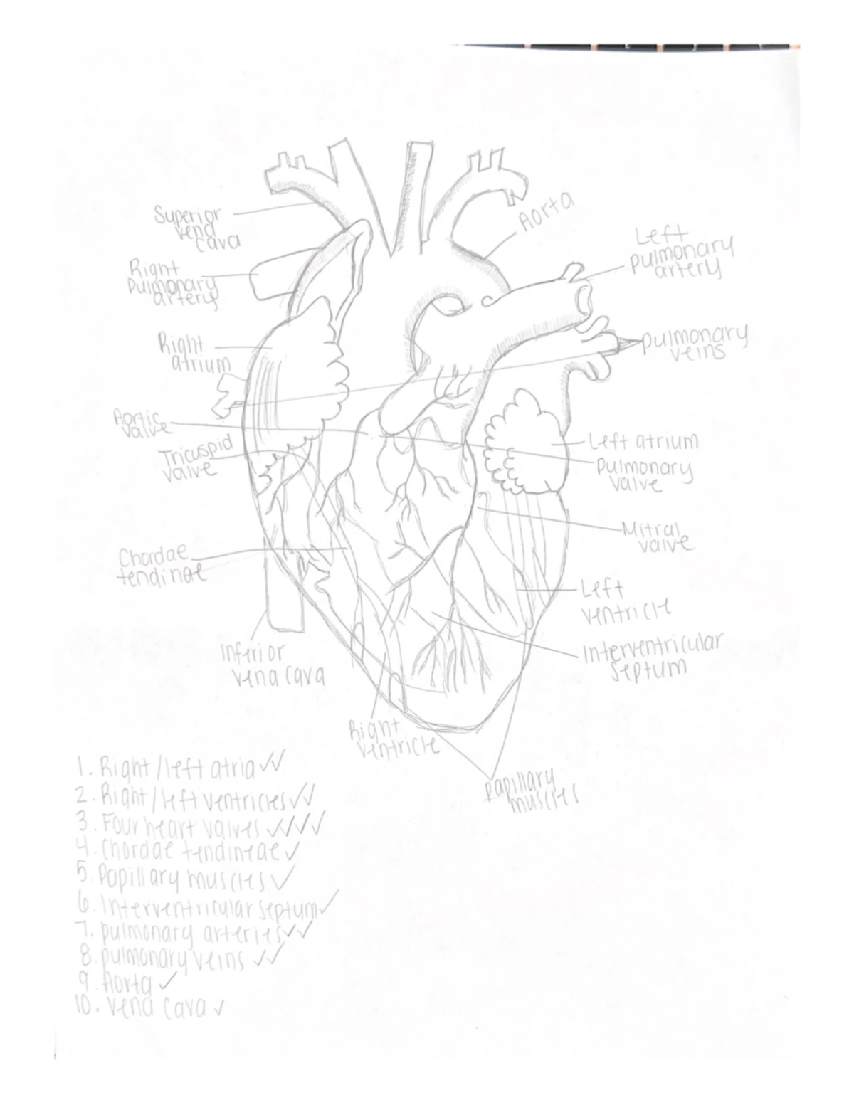 Practice for NUR2755 Multidimensional Care IV Calculation Quiz - Studocu