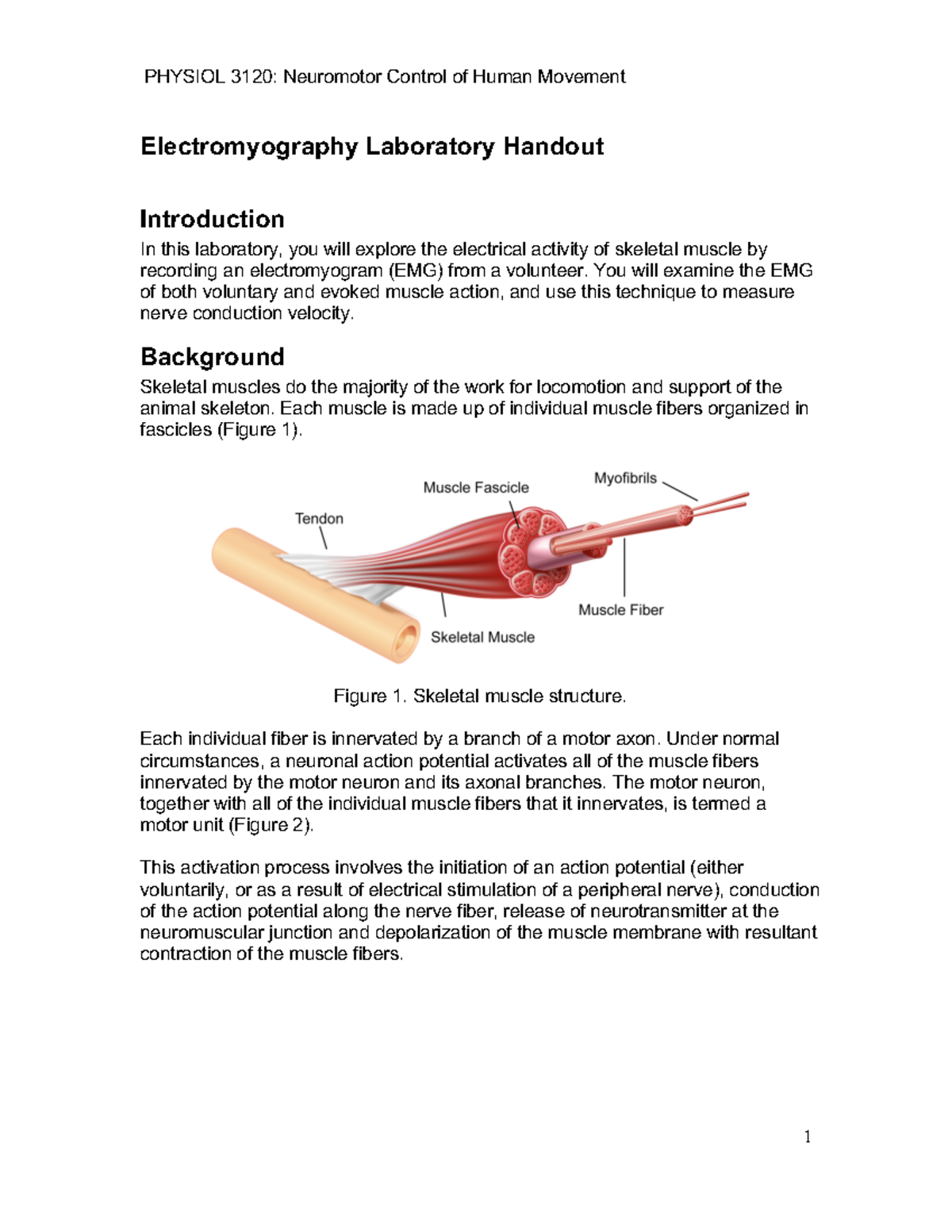 EMG Laboratory Handout - 1 Electromyography Laboratory Handout ...