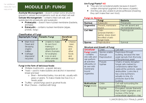 Midterms.docx - NOTES - MC3 – LECTURE MICROBIOLOGY & PARASITOLOGY ...