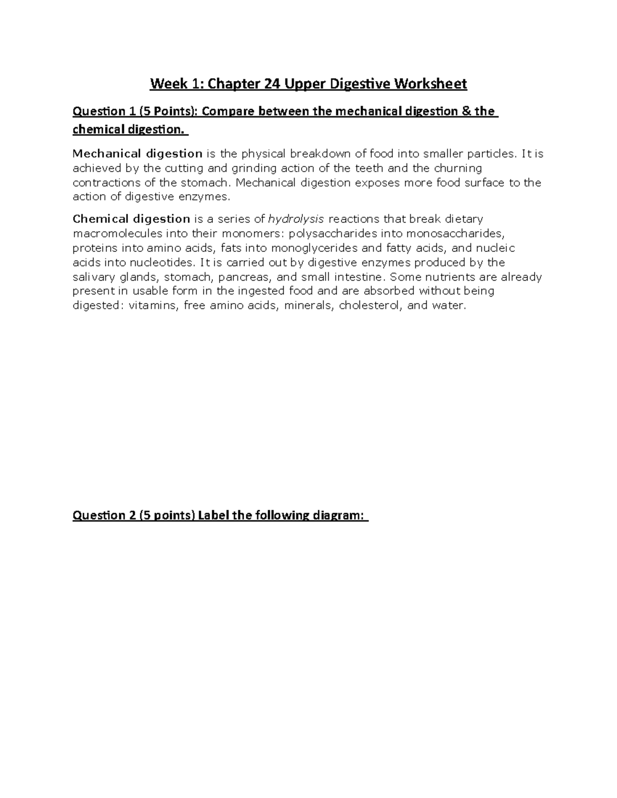 Week 1 Assignment: Upper Digestive System Overview and Diagrams - Studocu