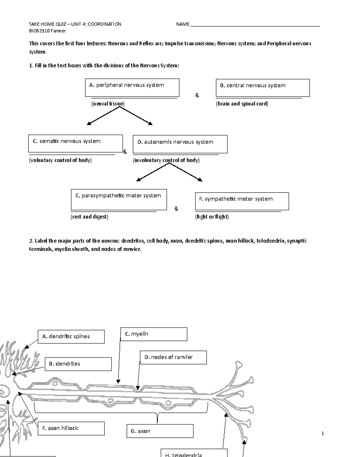 Neuron Diagram Labeled Quiz